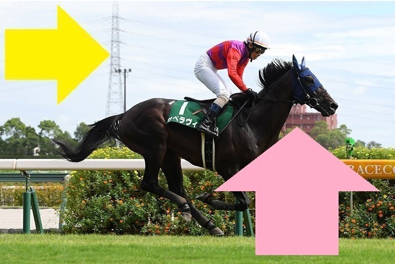 オールカマー・神戸新聞杯2025 サイン馬券Part3｜JRAが繰り出す全ての