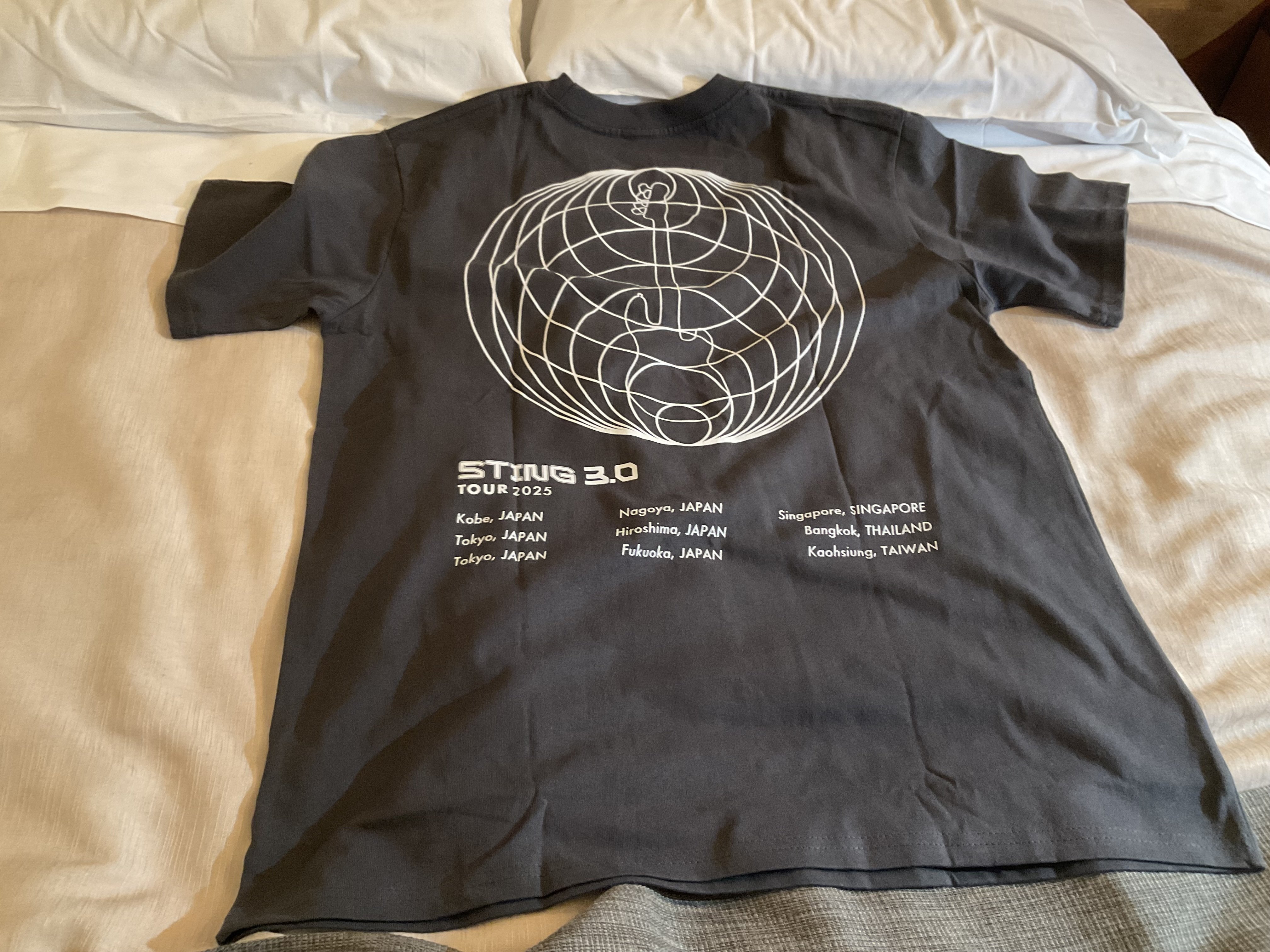 エッセイ703．STING 3.0 JAPAN TOUR(3)行ってきました