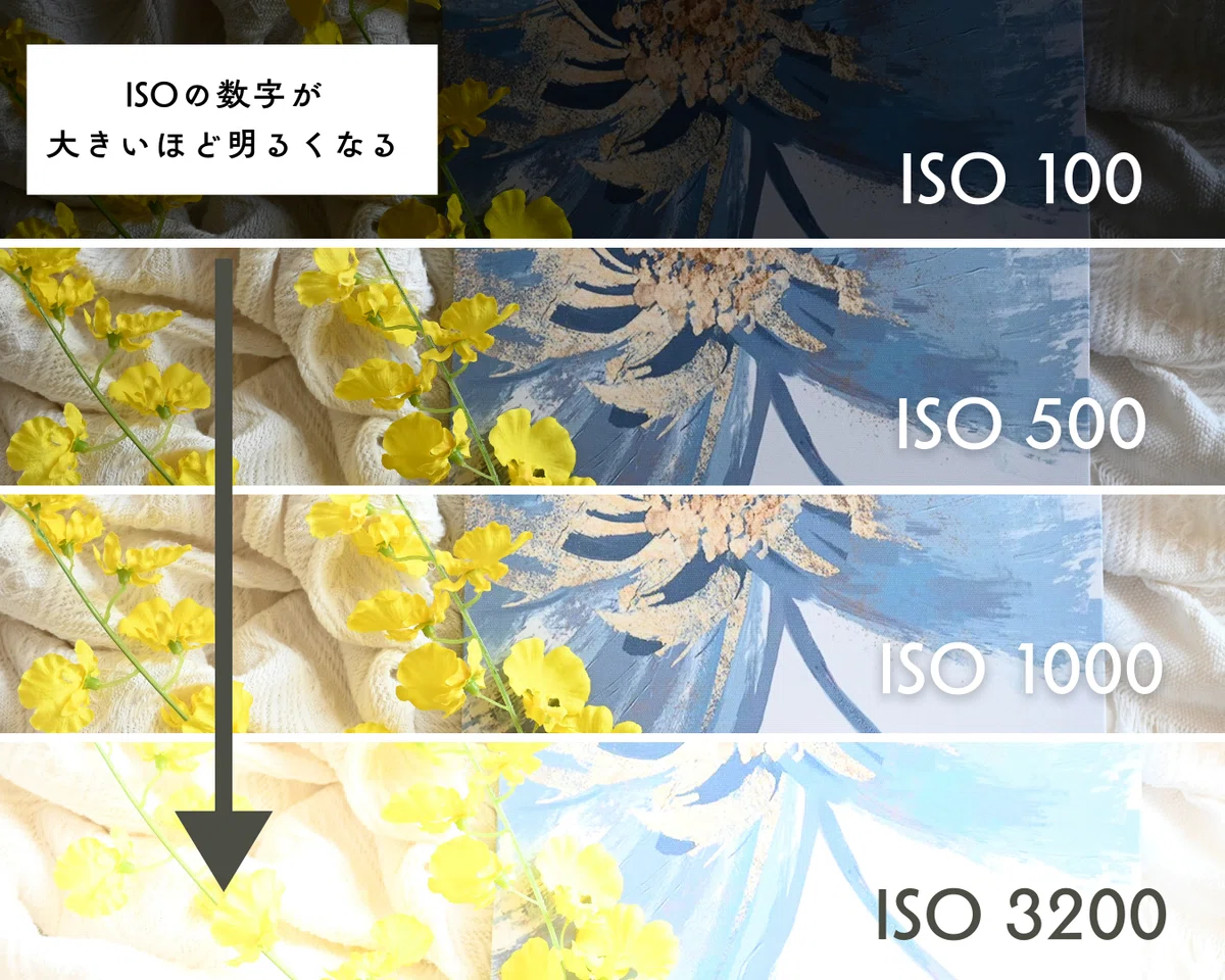 【保存版】カメラ初心者向け|F値・ISO・シャッタースピードの基本と設定方法を写真付きで解説|moi