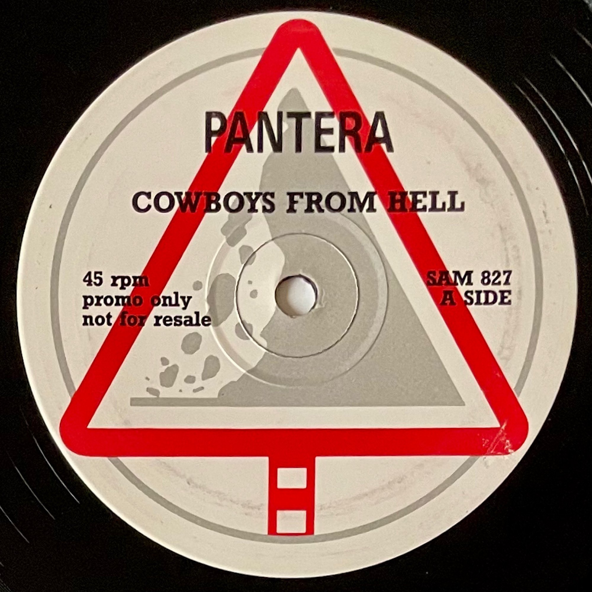 PANTERAのプロモ12インチ｜五辺宏明