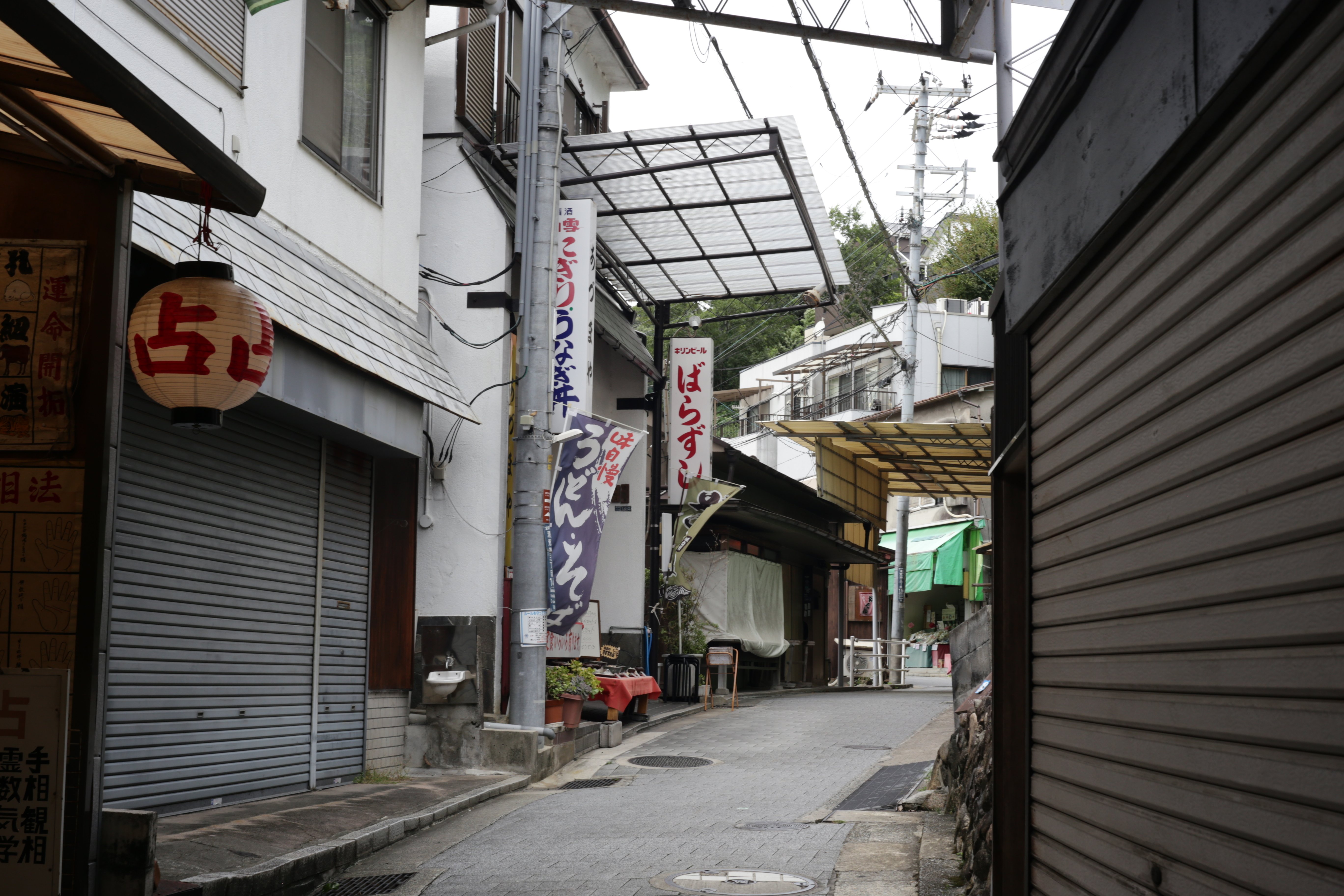 鷹の目は現代に何を見る。Carl Zeiss Jena Tessar F2.8/50mm｜ひとりGo