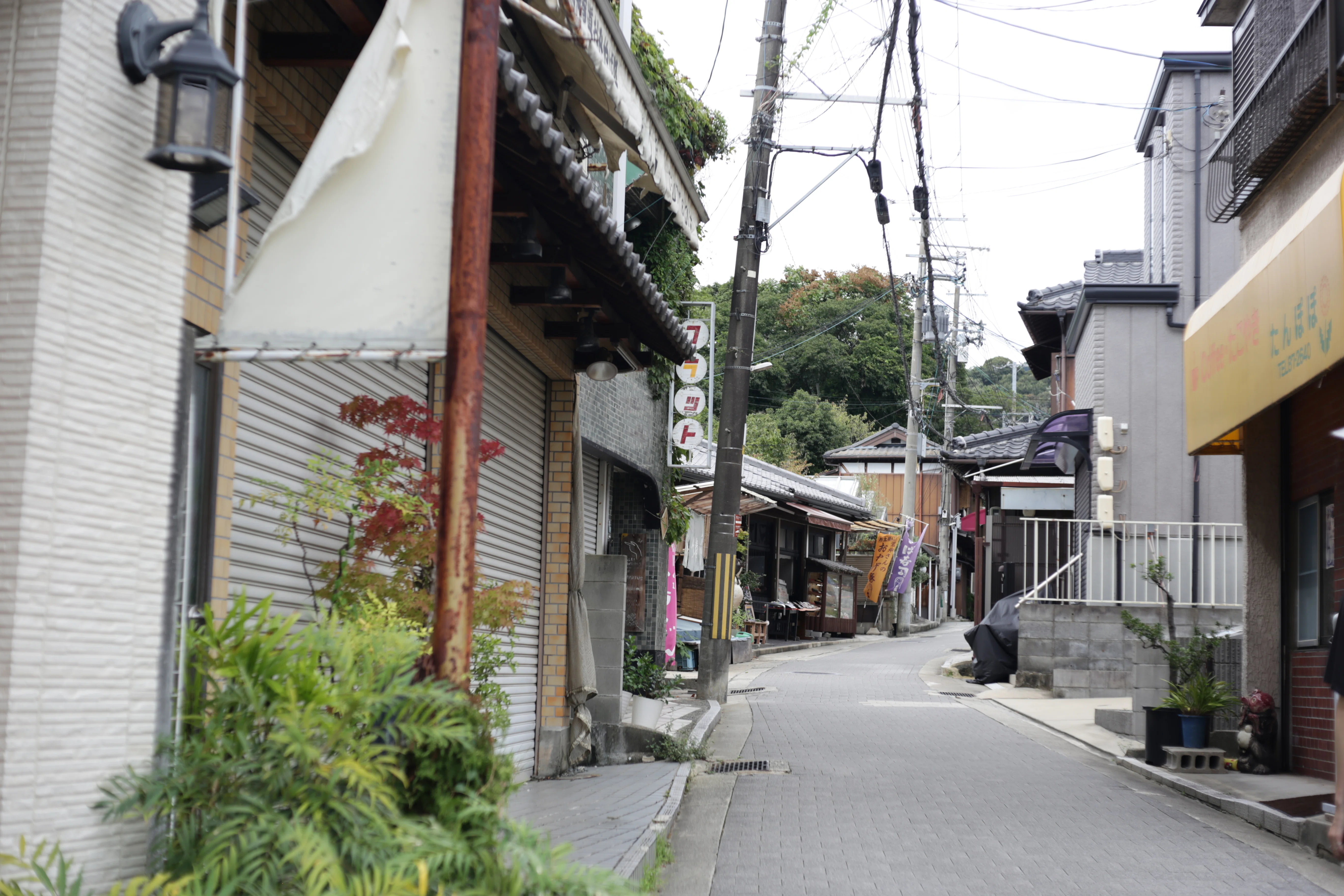 鷹の目は現代に何を見る。Carl Zeiss Jena Tessar F2.8/50mm｜ひとりGo