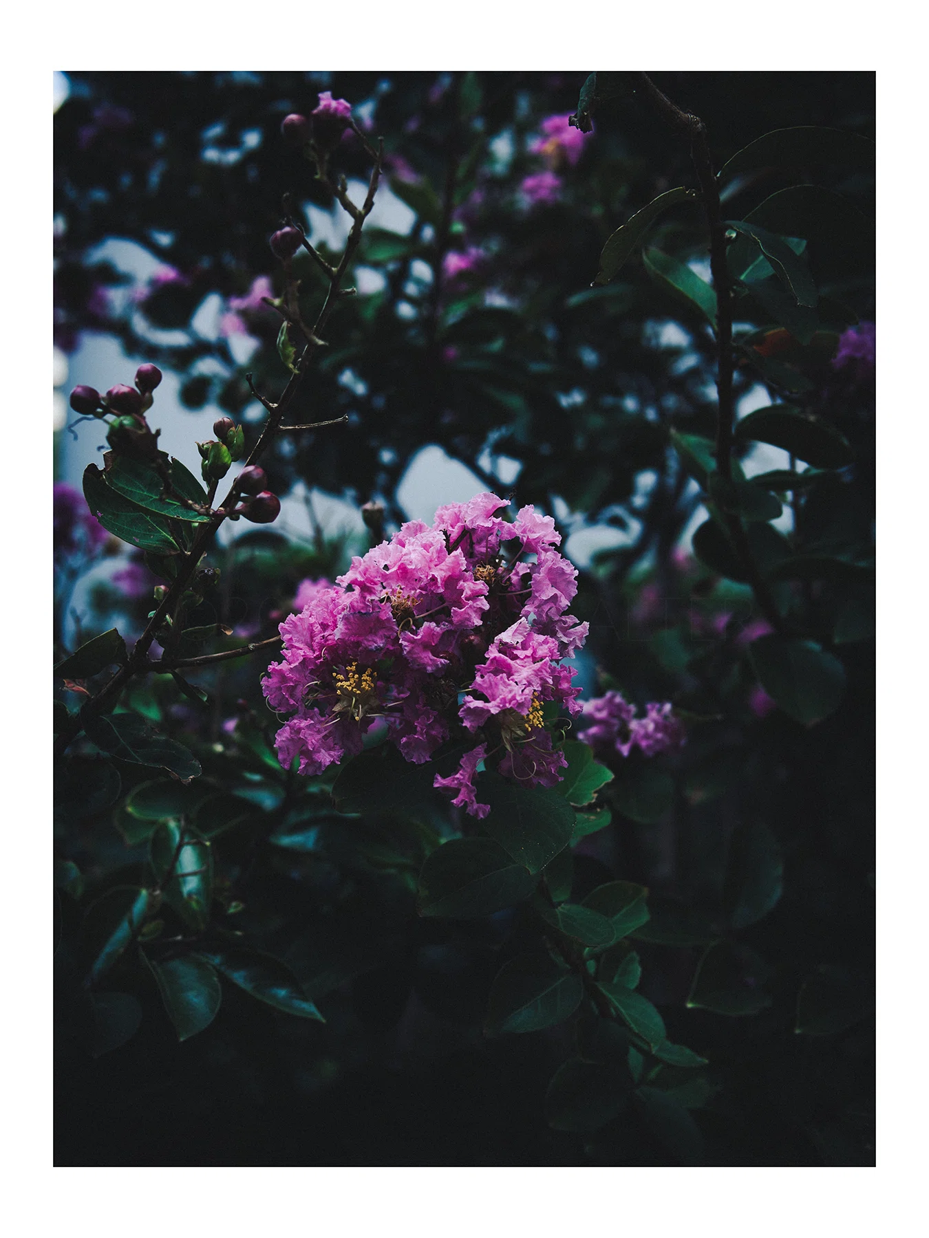 OLYMPUS PEN mini E-PM2 購入1ヶ月経っての感想と作例｜KENNY(:)ALTER