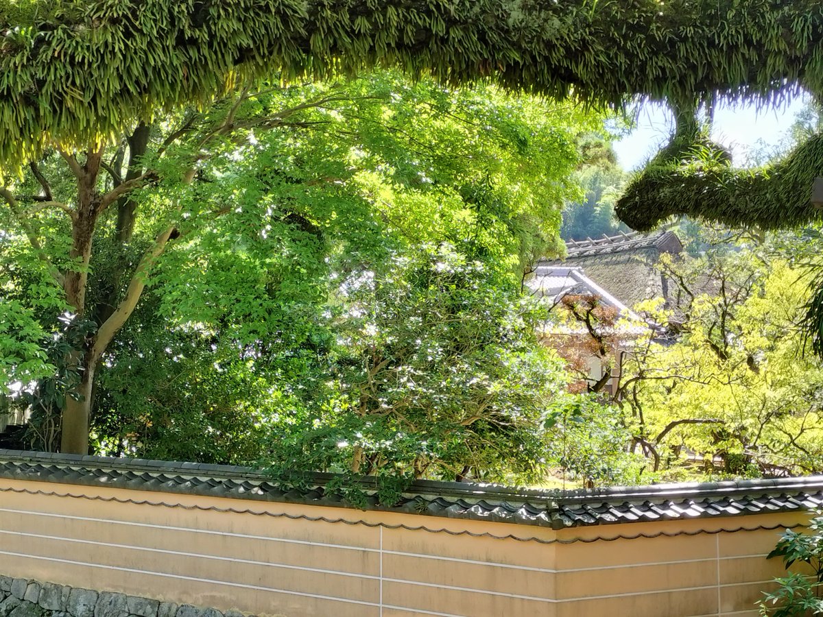 延寿王院の塀越しに見える庭木と建物。幕末の志士・中岡慎太郎も歩いた太宰府のゆかりの地