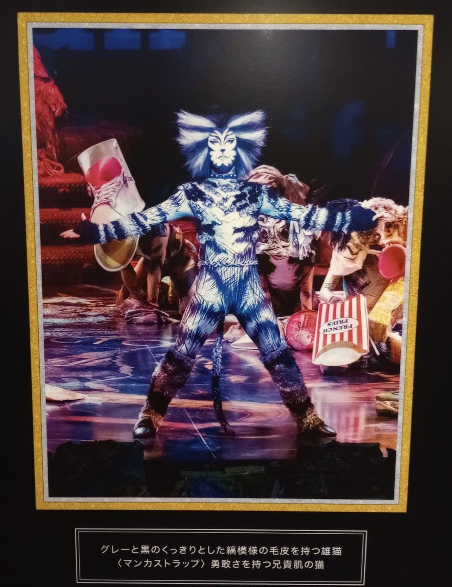 初遠征🚊】劇団四季「キャッツ」静岡公演🐈レポ｜きいろいお花