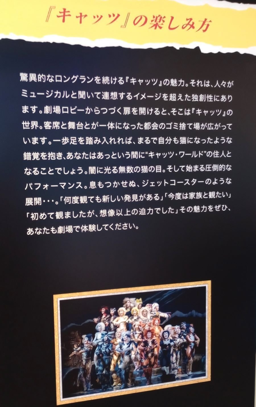 初遠征🚊】劇団四季「キャッツ」静岡公演🐈レポ｜きいろいお花