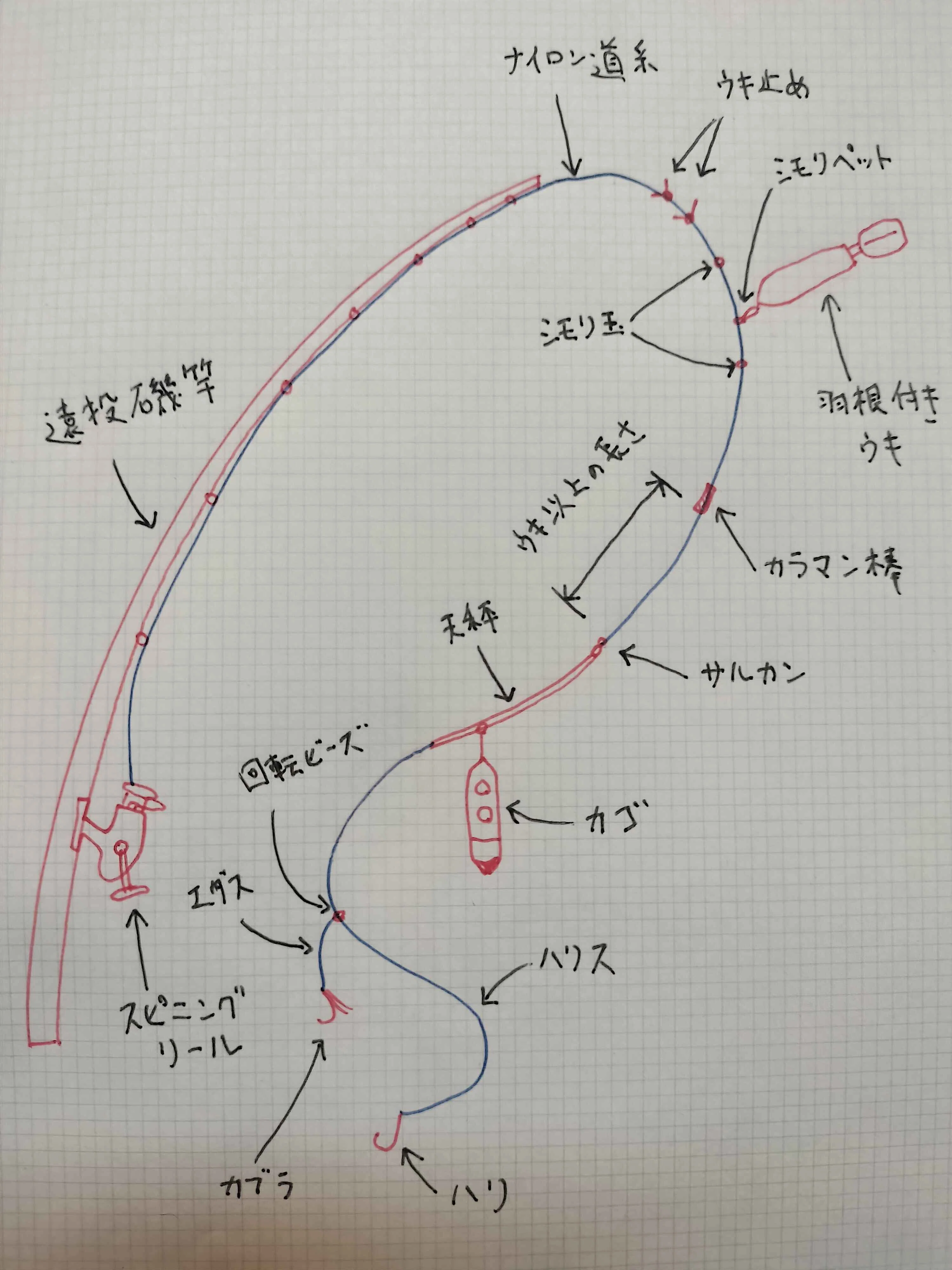 図解】土佐カブラのカゴ釣り完全ガイド｜付け方・結び方から絡まない