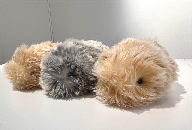Moflin（モフリン）」の飼い主に育てた感想を聞きました！vol.3