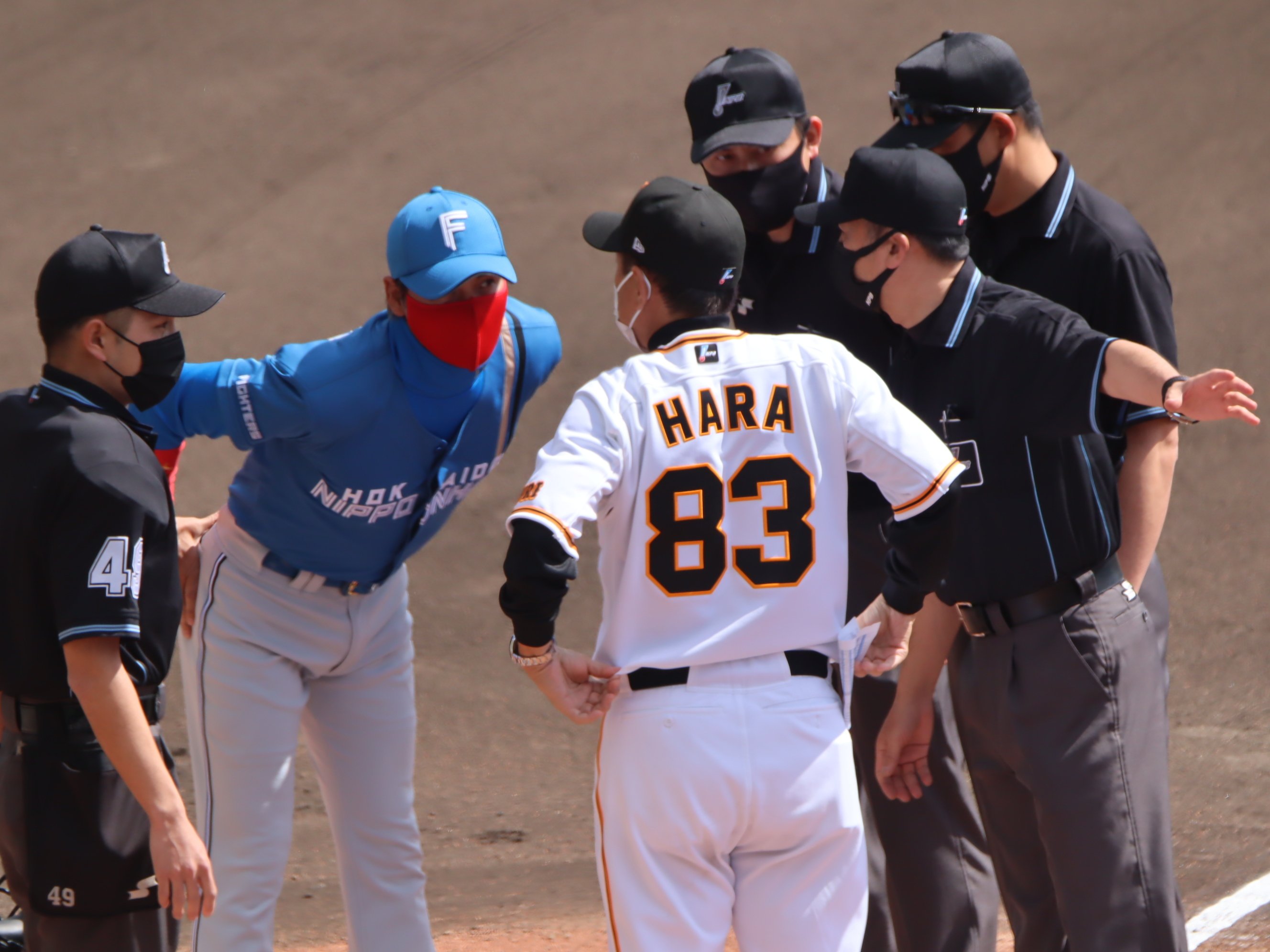 新庄剛志は「監督」になった。それもユニークな｜広尾晃「野球のことを