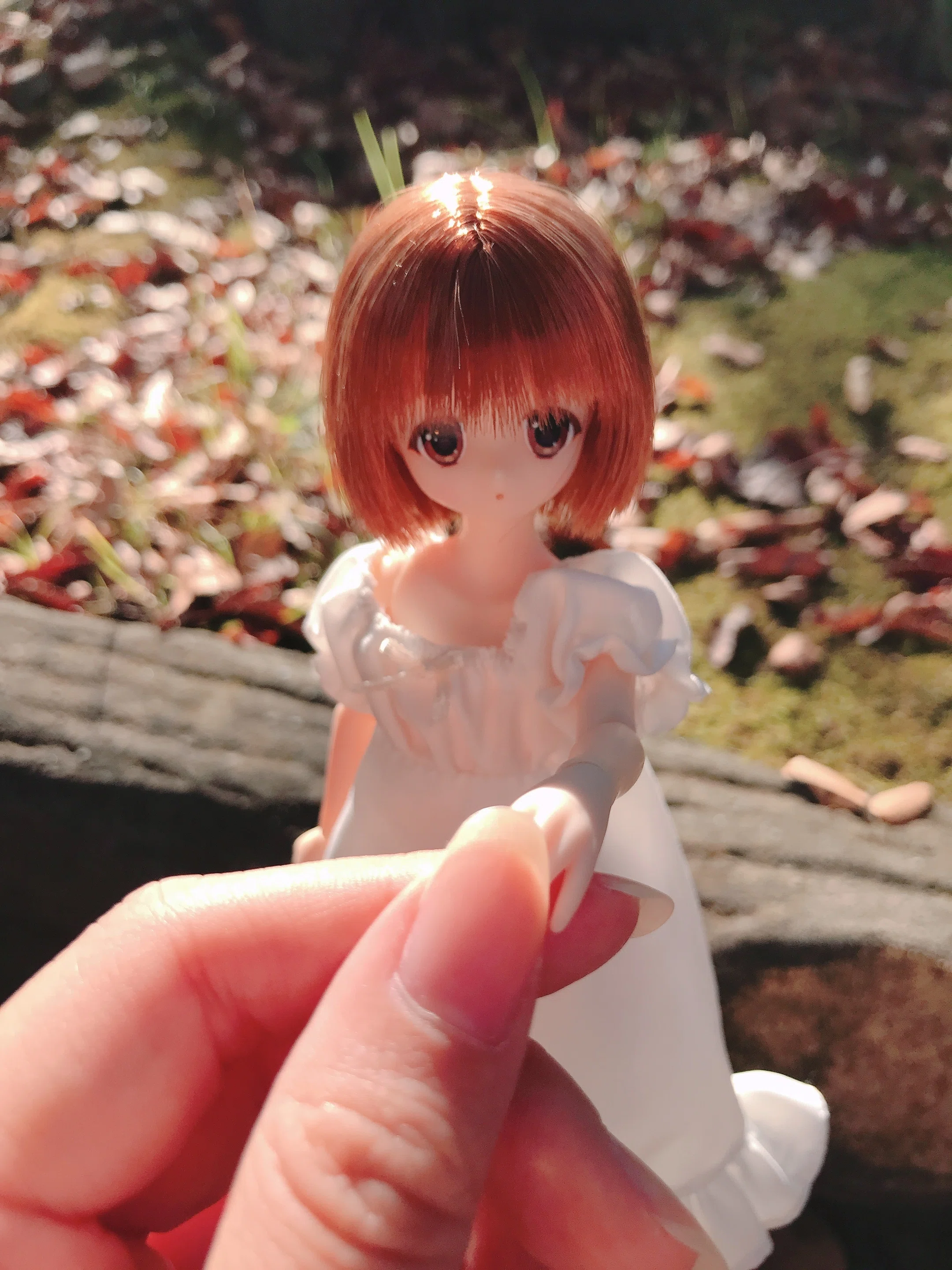 うちの子達｜ボルシチ