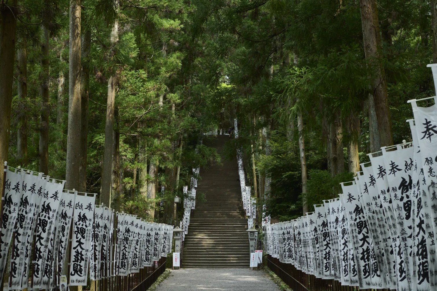 願いの道行 熊野古道──「ひととき」2025年10月号特集のご紹介