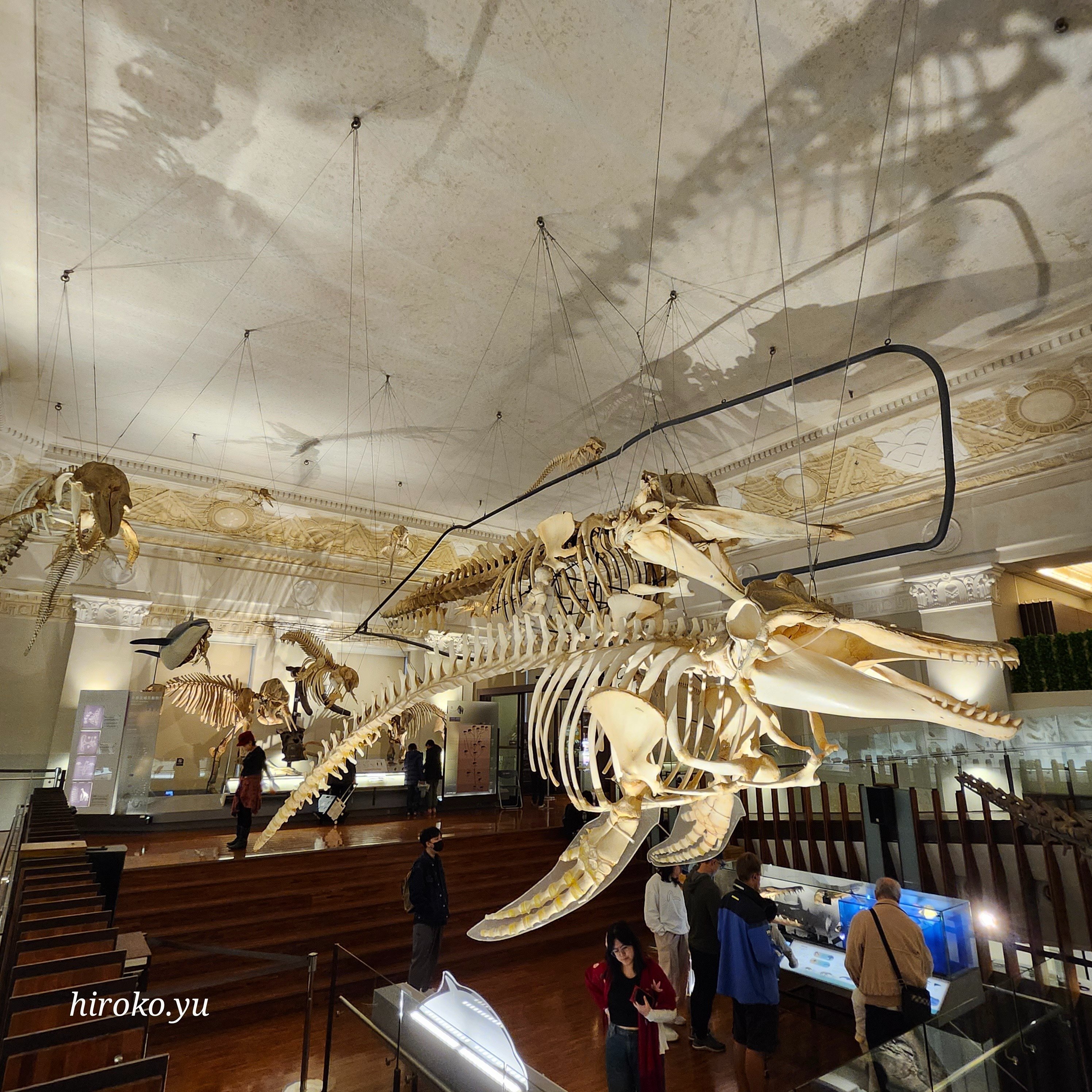 台北歴史】カオスな国立台湾博物館土銀展示館で日本統治時代の銀行と