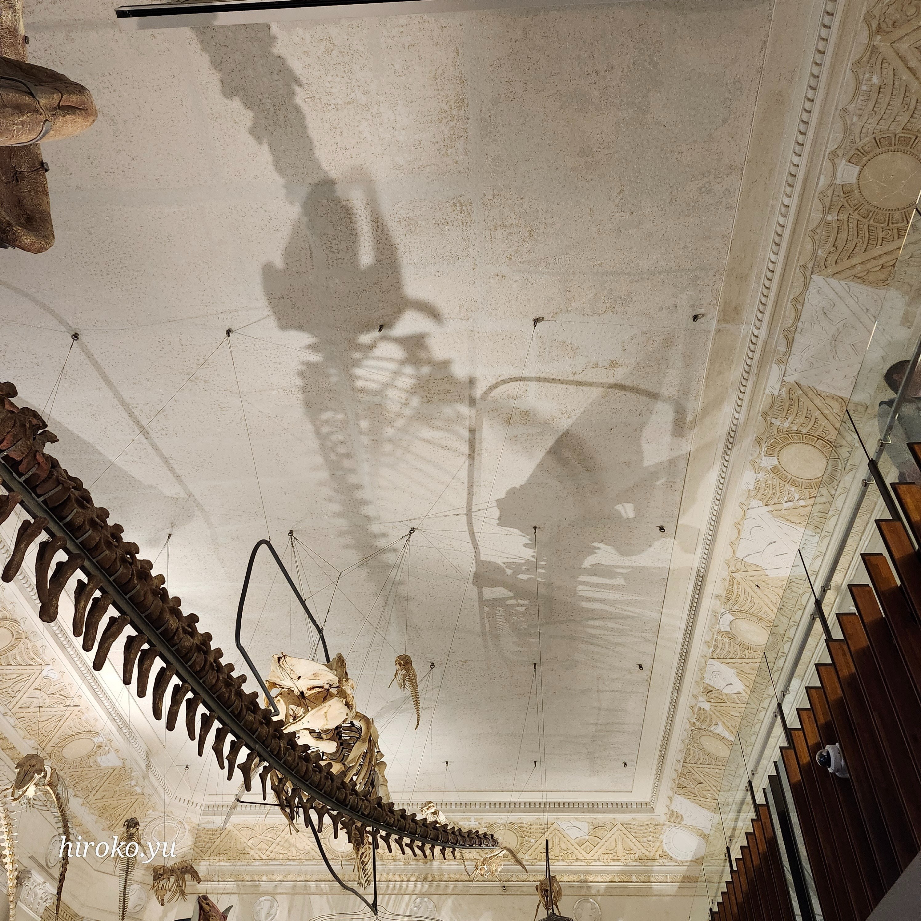 台北歴史】カオスな国立台湾博物館土銀展示館で日本統治時代の