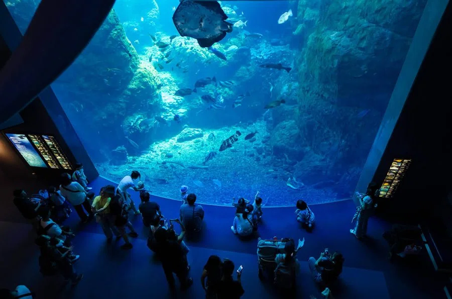 新江ノ島水族館 | SIGMA 12mm F1.4 + X-E5｜borichan | 旅するカメラ