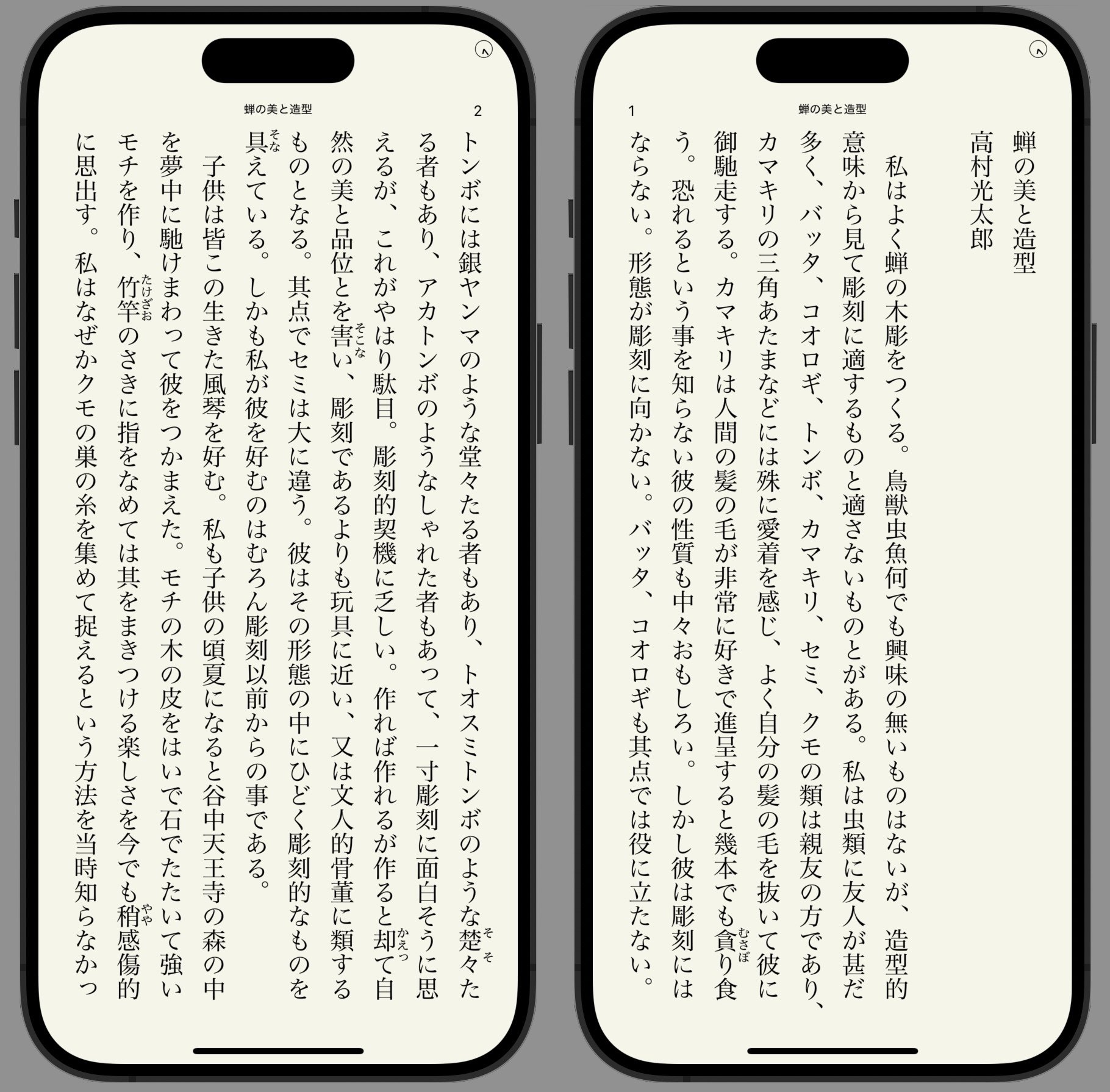 古書　#ロダン　#高村光太郎序文　#ブールデル著 古書 #ロダン #高村光太郎序文 #ブールデル著