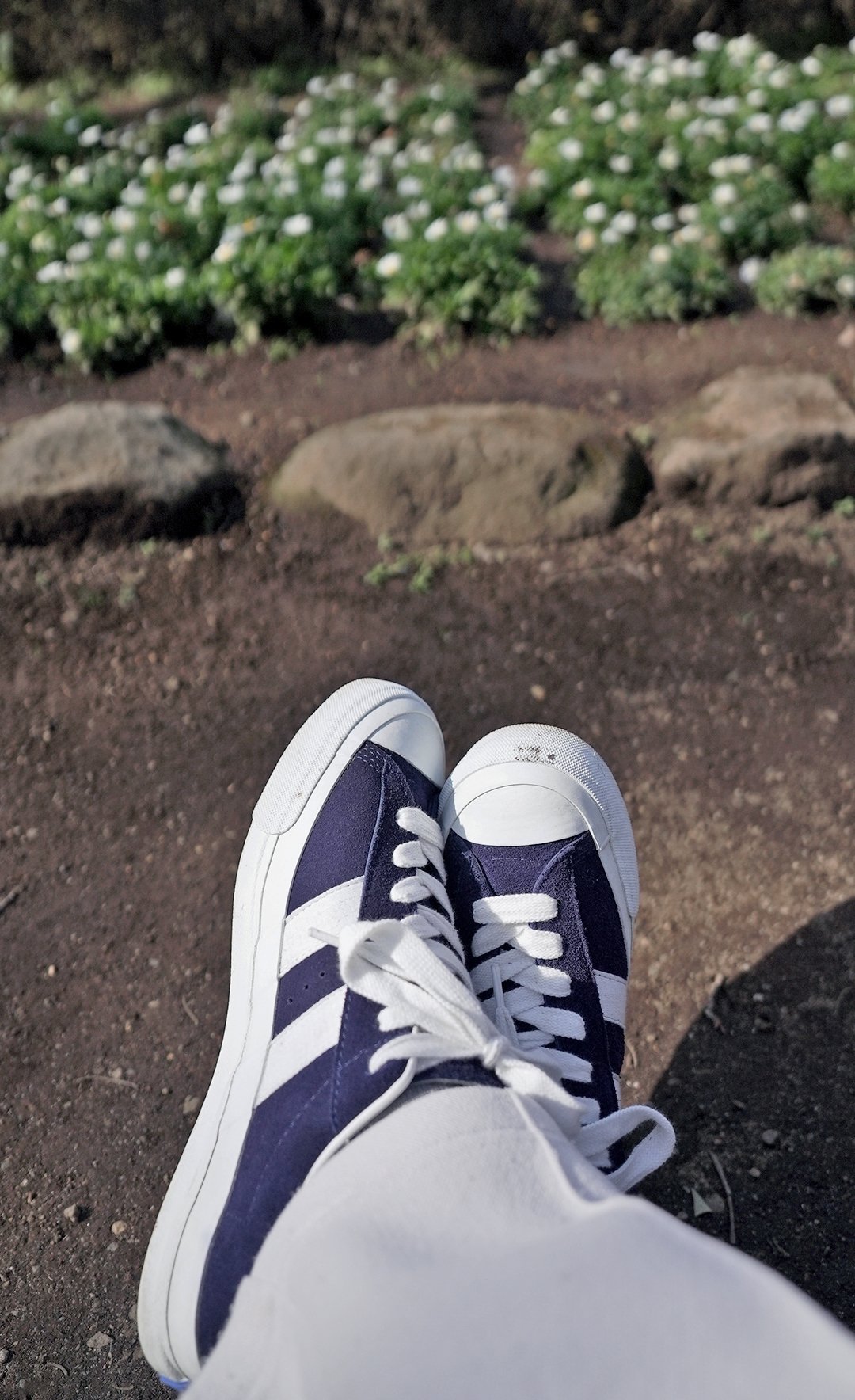 PRO-Keds日本製「ロイヤルプラス」オフショット編｜さっさん