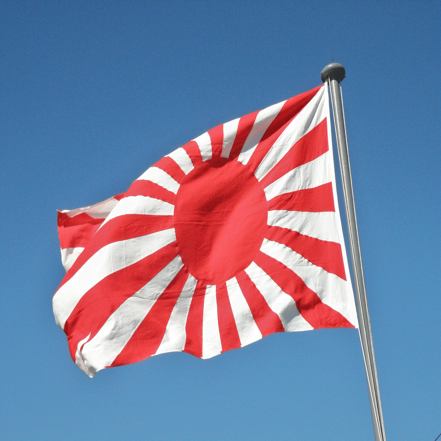 記号とシンボル》 #6 ハレの象徴 “旭日旗（きょくじつき）｜しじみ