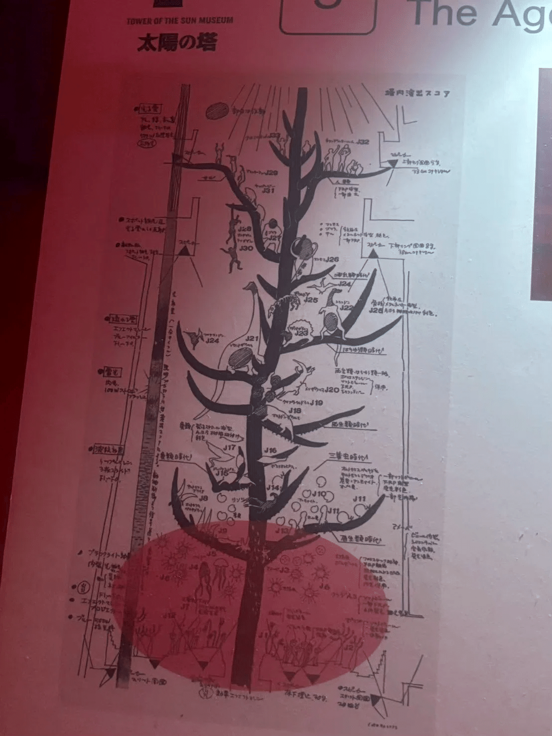 大阪万博「図集EXPO ‘70」　太陽の塔の図面など 大阪万博「図集EXPO '70」 太陽の塔の図面など 大阪万博「図集