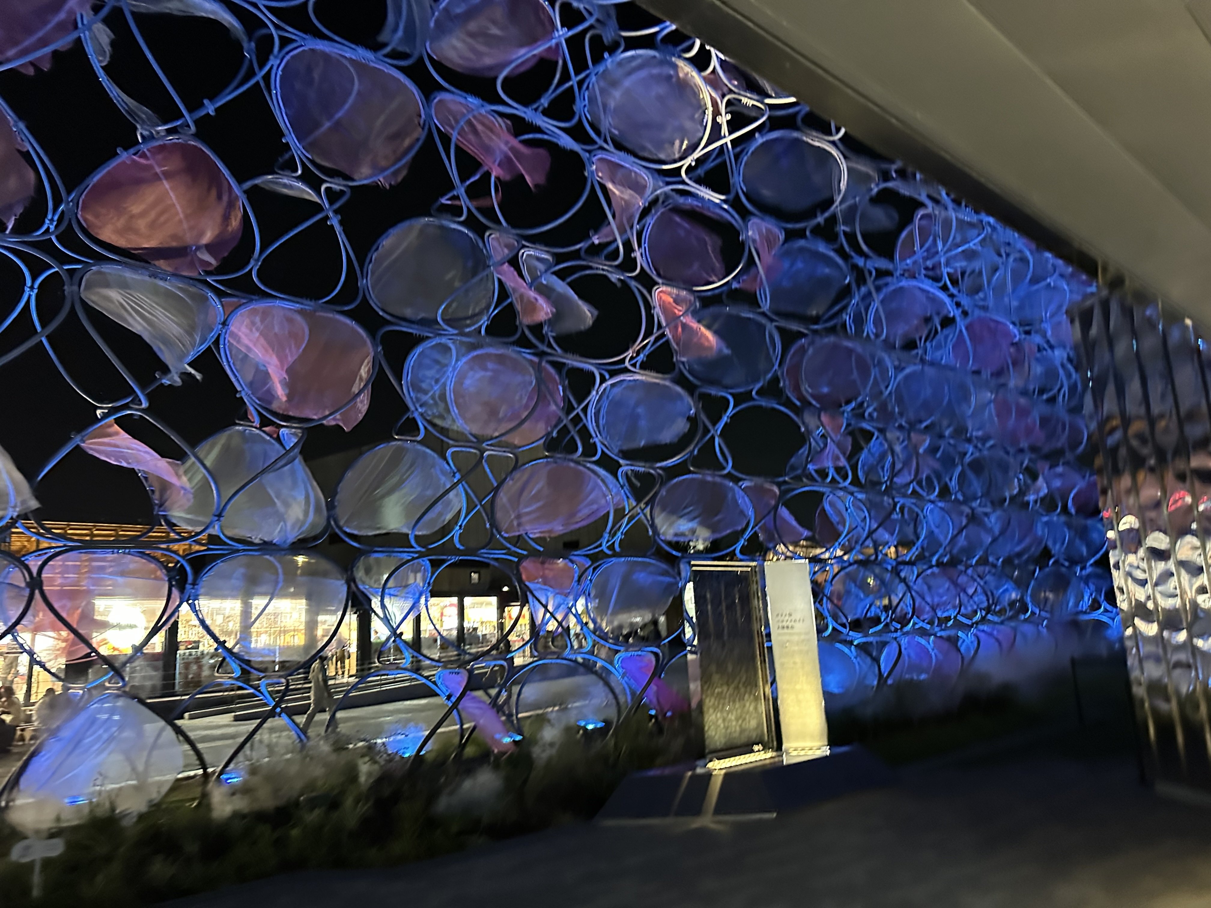 ノモの国 クリスタル ノモの国 キラキラしたクリスタルを持ちながらパビリオン内を周