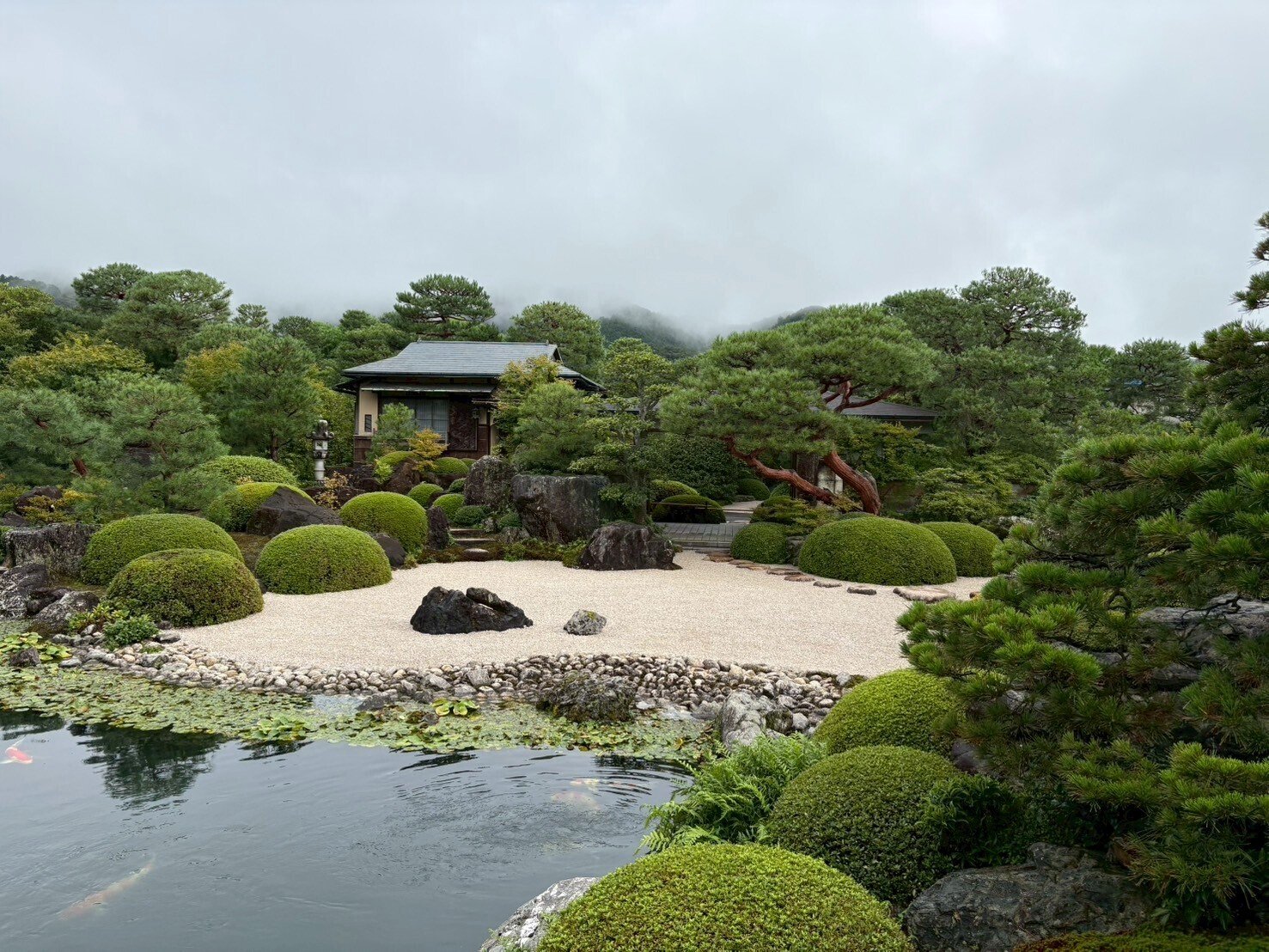 窓枠が額縁になる美術館】庭園も絵画。四季折々の美しさに心震える