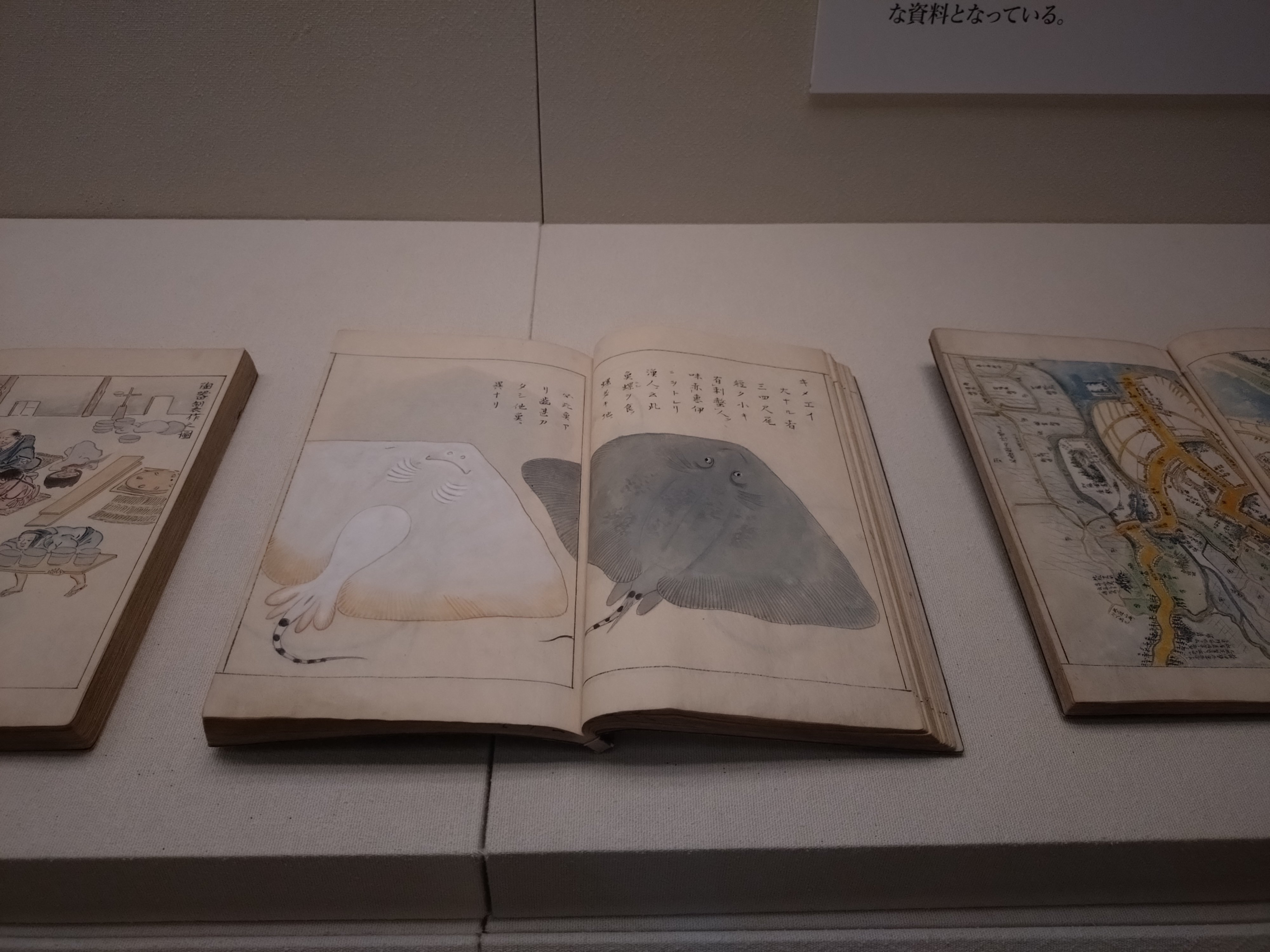 本で繋がる奇跡～名古屋蓬左文庫｜東雲旭