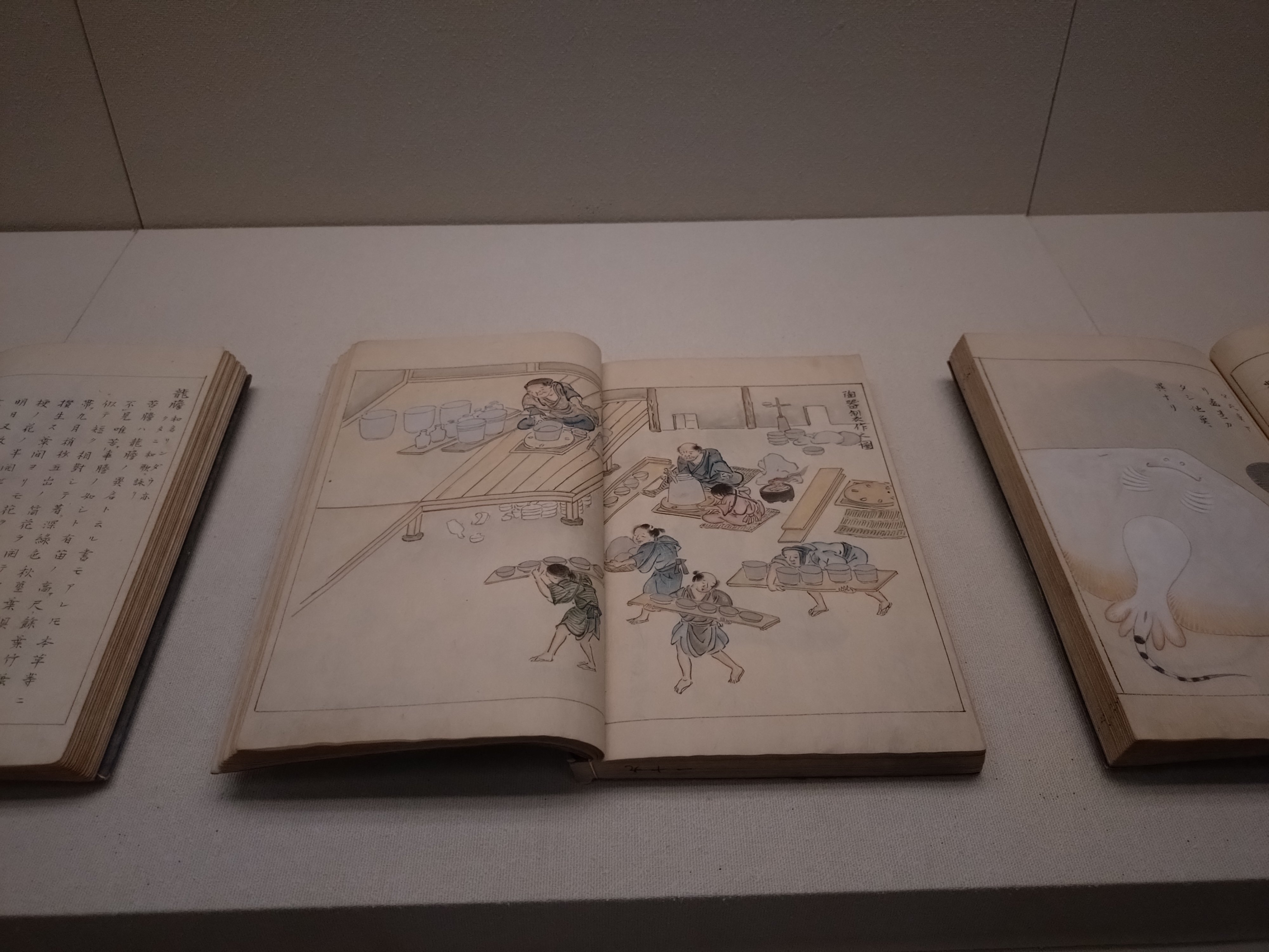 本で繋がる奇跡～名古屋蓬左文庫｜東雲旭