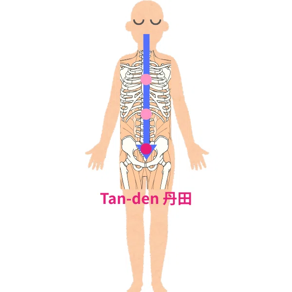 丹田の位置と形を知る方法｜Rie / KokyuShift