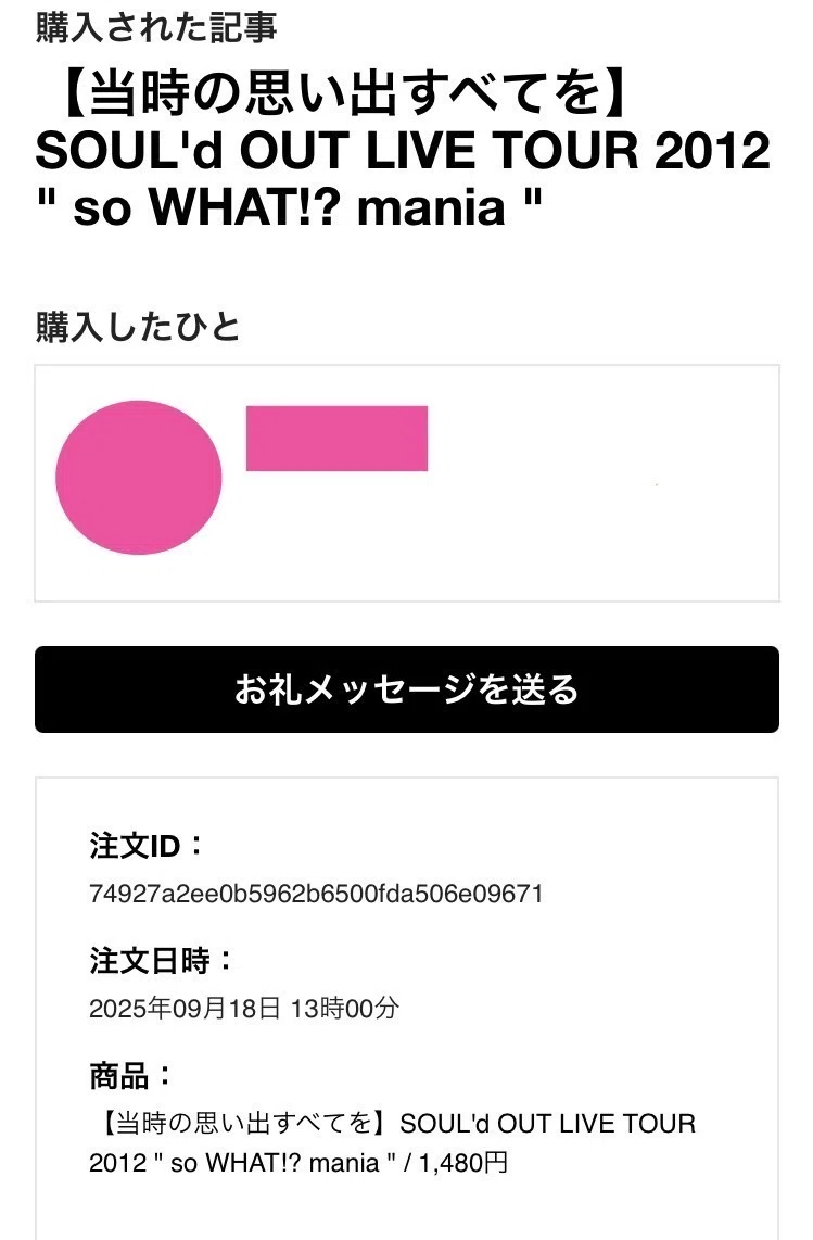 SOUL'd OUT ツアーパンフレット 3点セット 当時の思い出すべてを】SOUL'd OUT LIVE TOUR 2012 