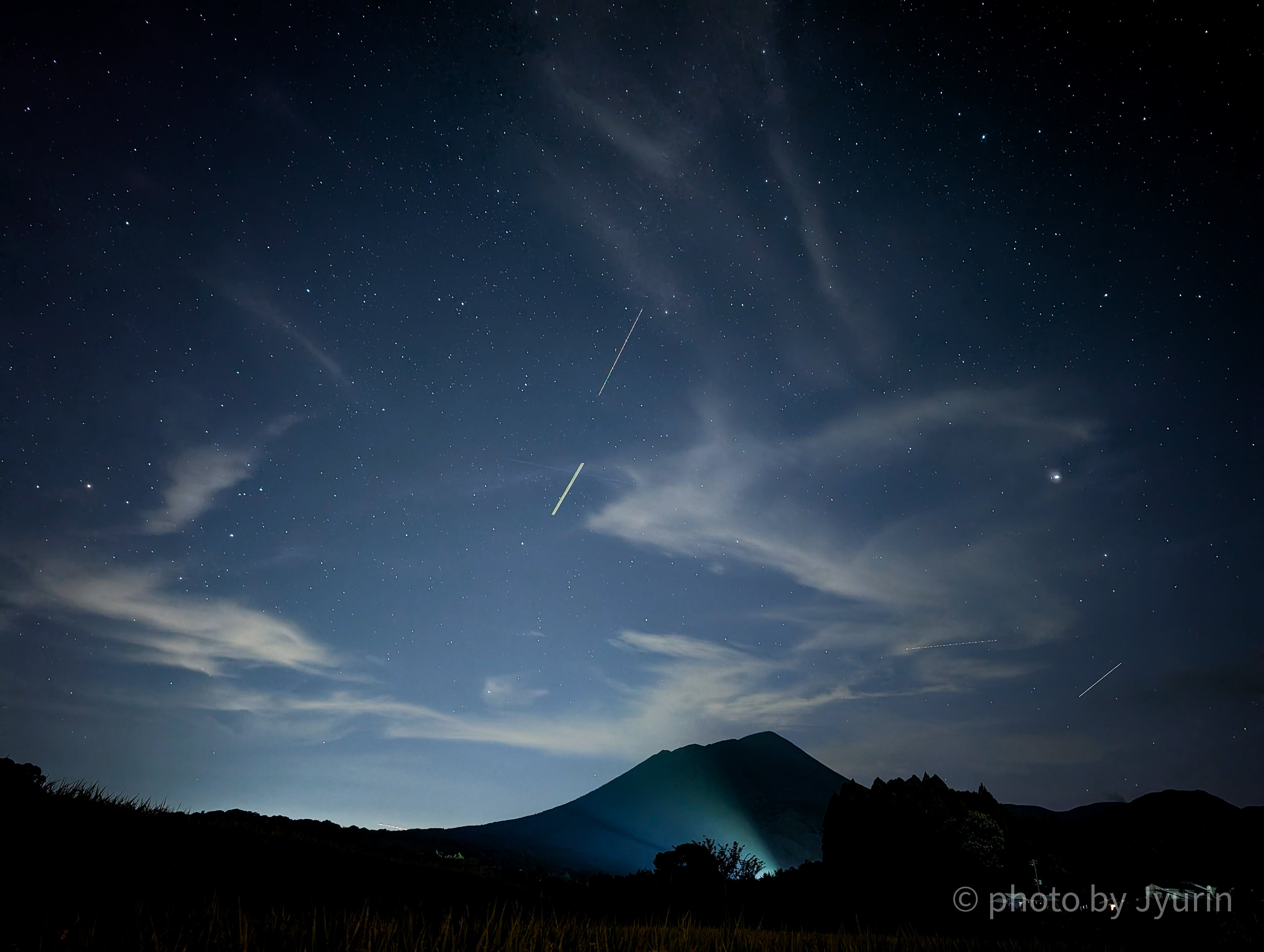 写真撮影の参考にしてください 神秘的なラクウショウ並木 ⁡ ⁡ Location : 香川県 Camera : Z9 Lens