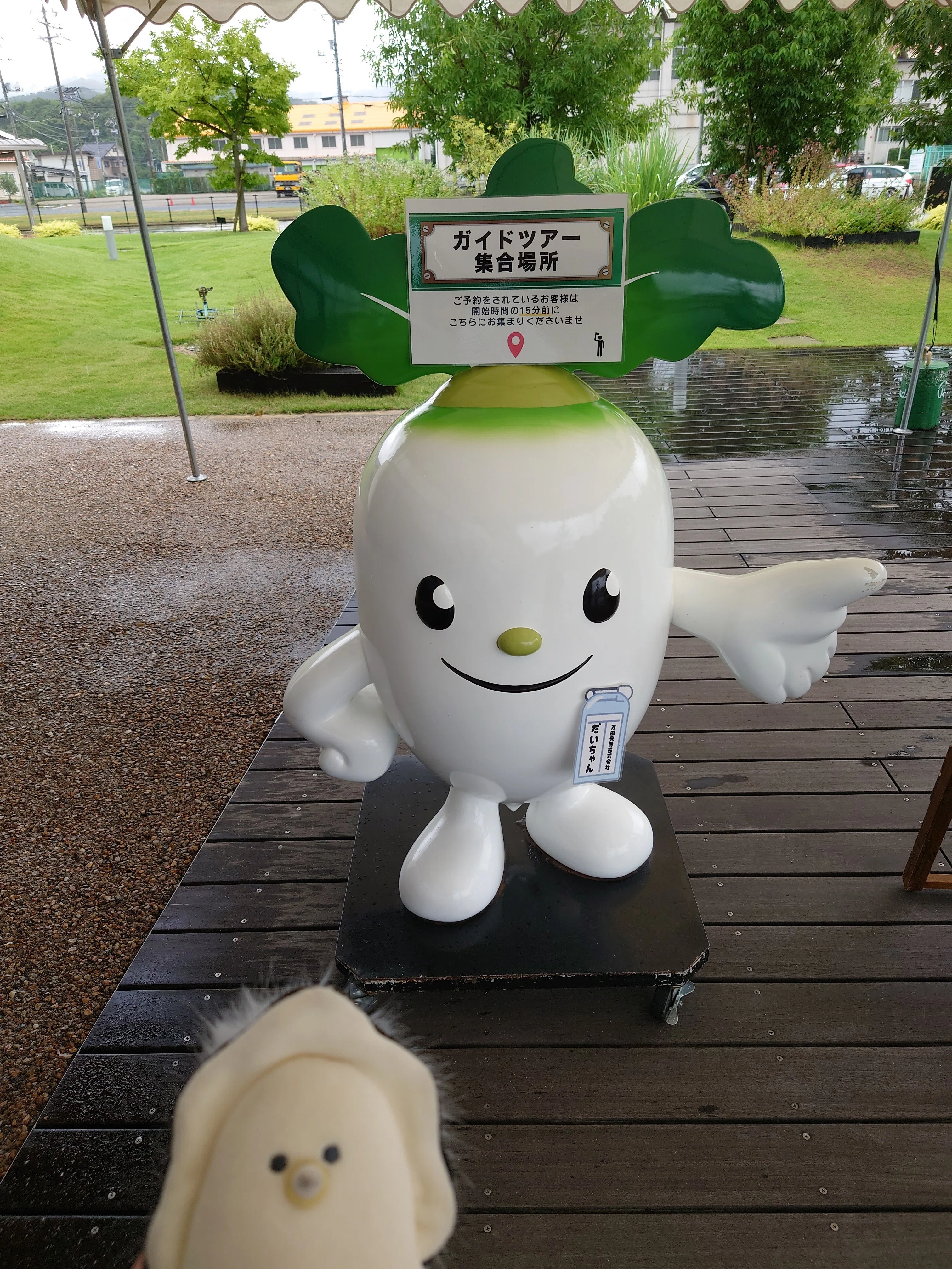 旅の狐の因島日記2025 「島ごとはっさくん」スタンプラリー 3日目｜銀尾