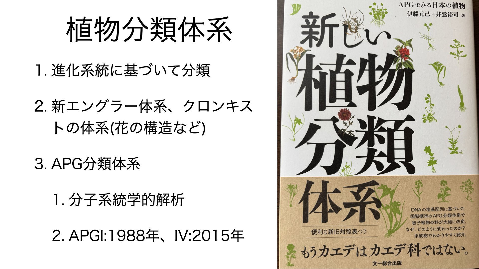 新しい植物分類学 1 植物分類学 | 伊藤 元己 |本 | 通販 |  新しい植物分類