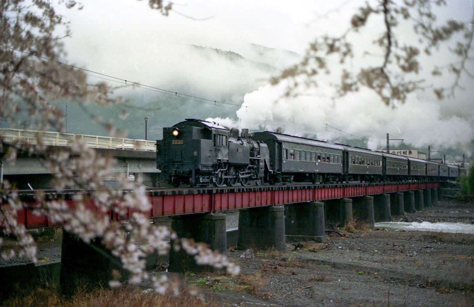 v093, 大井川鉄道：桜 （1990年）｜ひろやん