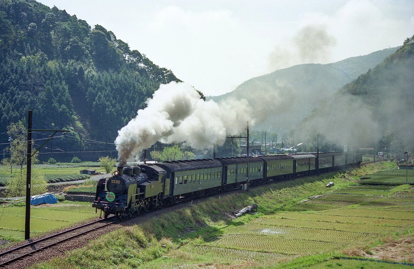 v093, 大井川鉄道：桜 （1990年）｜ひろやん