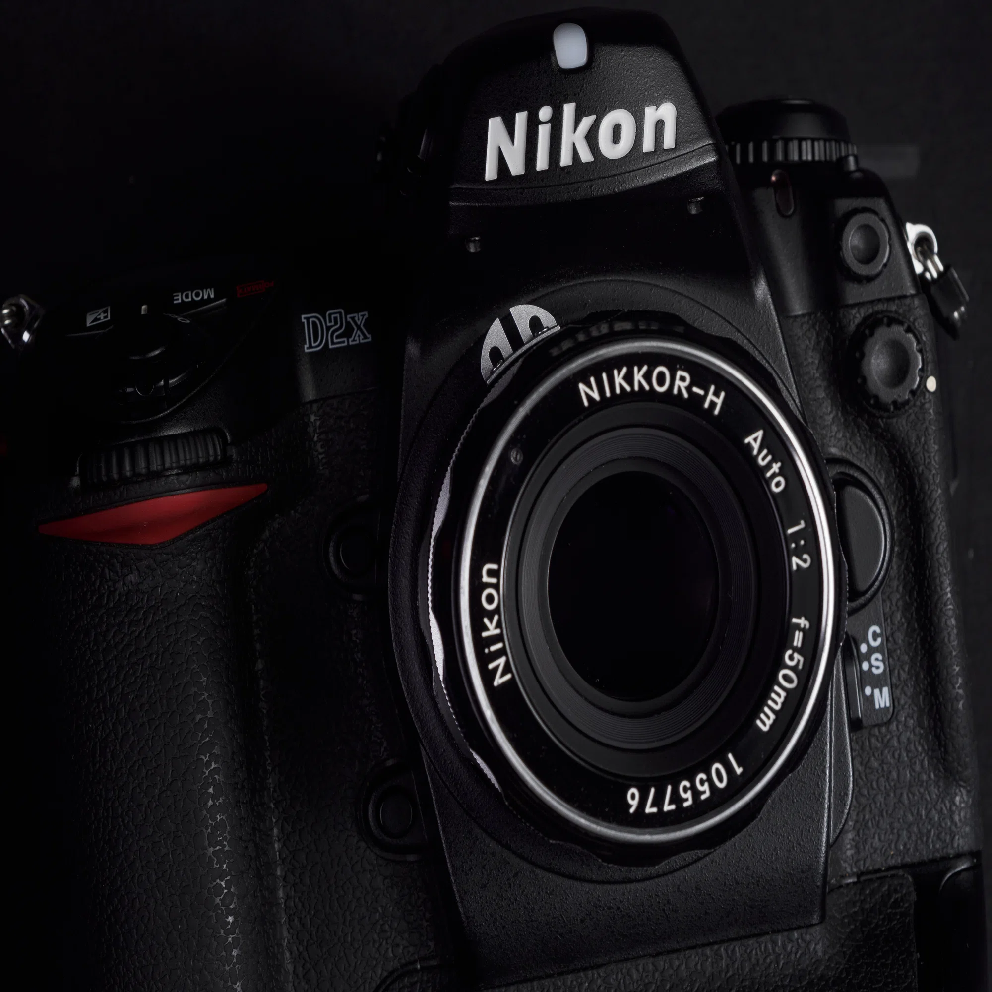 どうせNikon D2Xも楽しい。｜sugarkrone