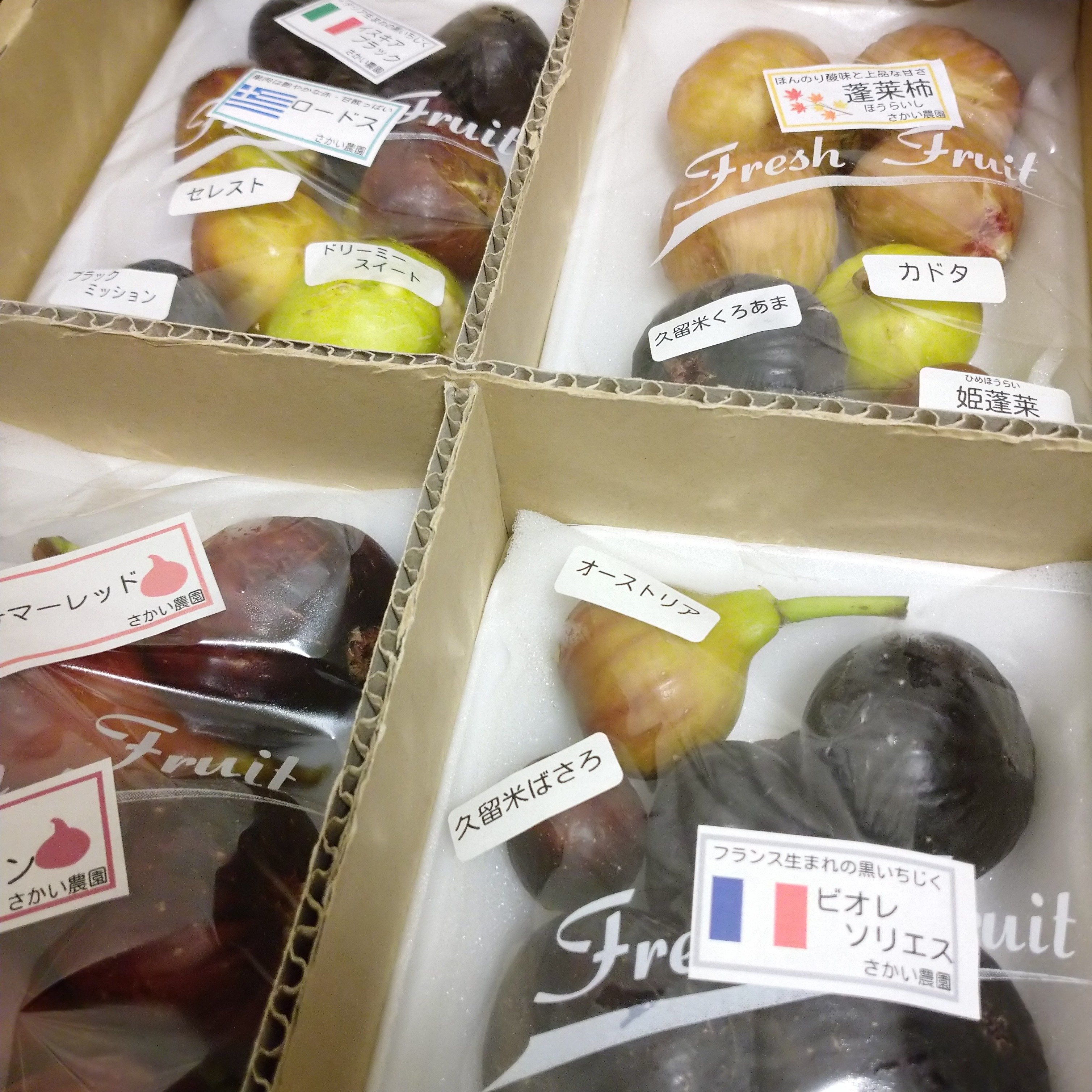 イチジク多品種盛り合わせがきた！｜🦩