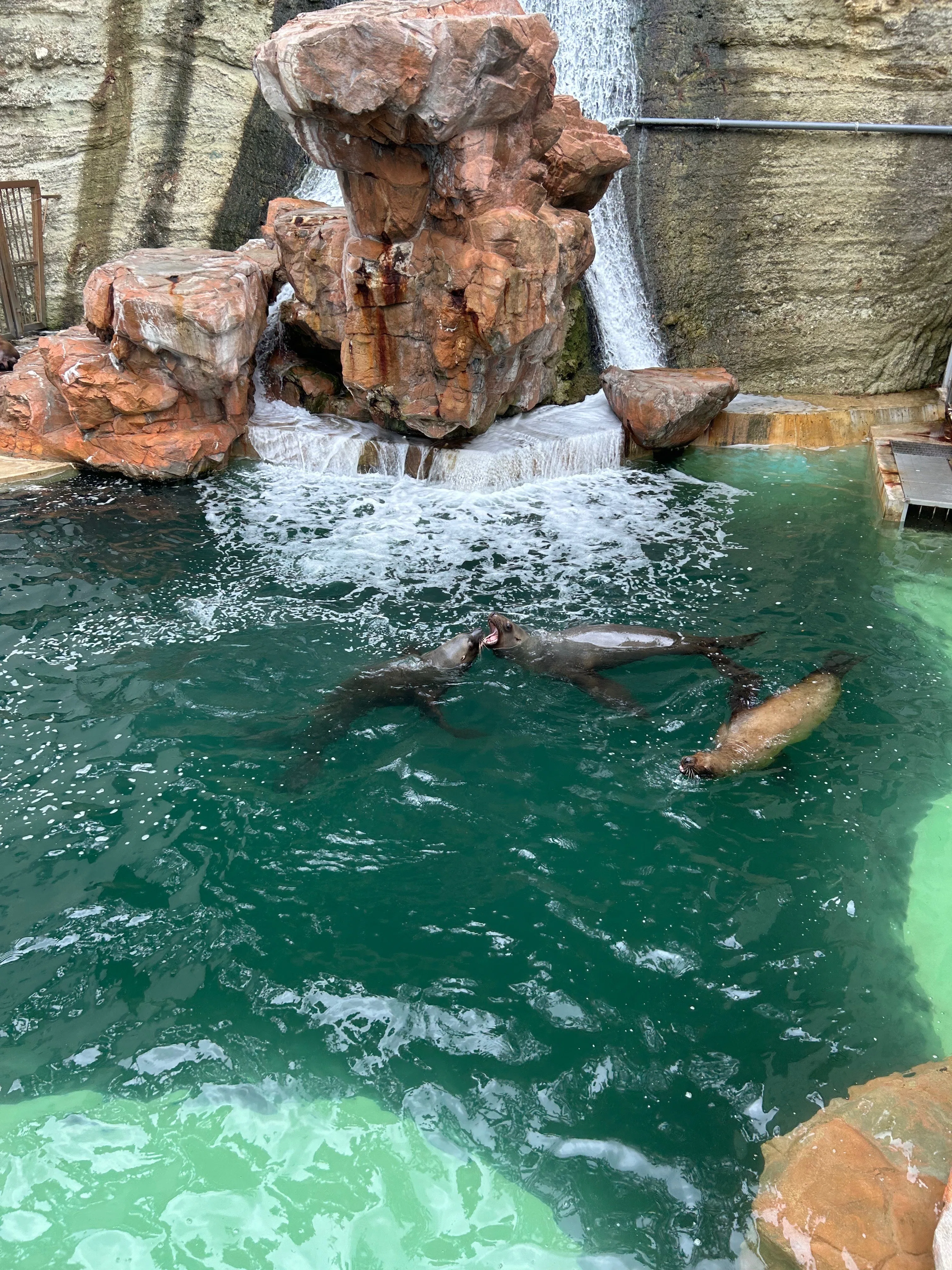 兵庫一人旅行記 城崎マリンワールド＋日和山海岸ミュージアム｜あああ