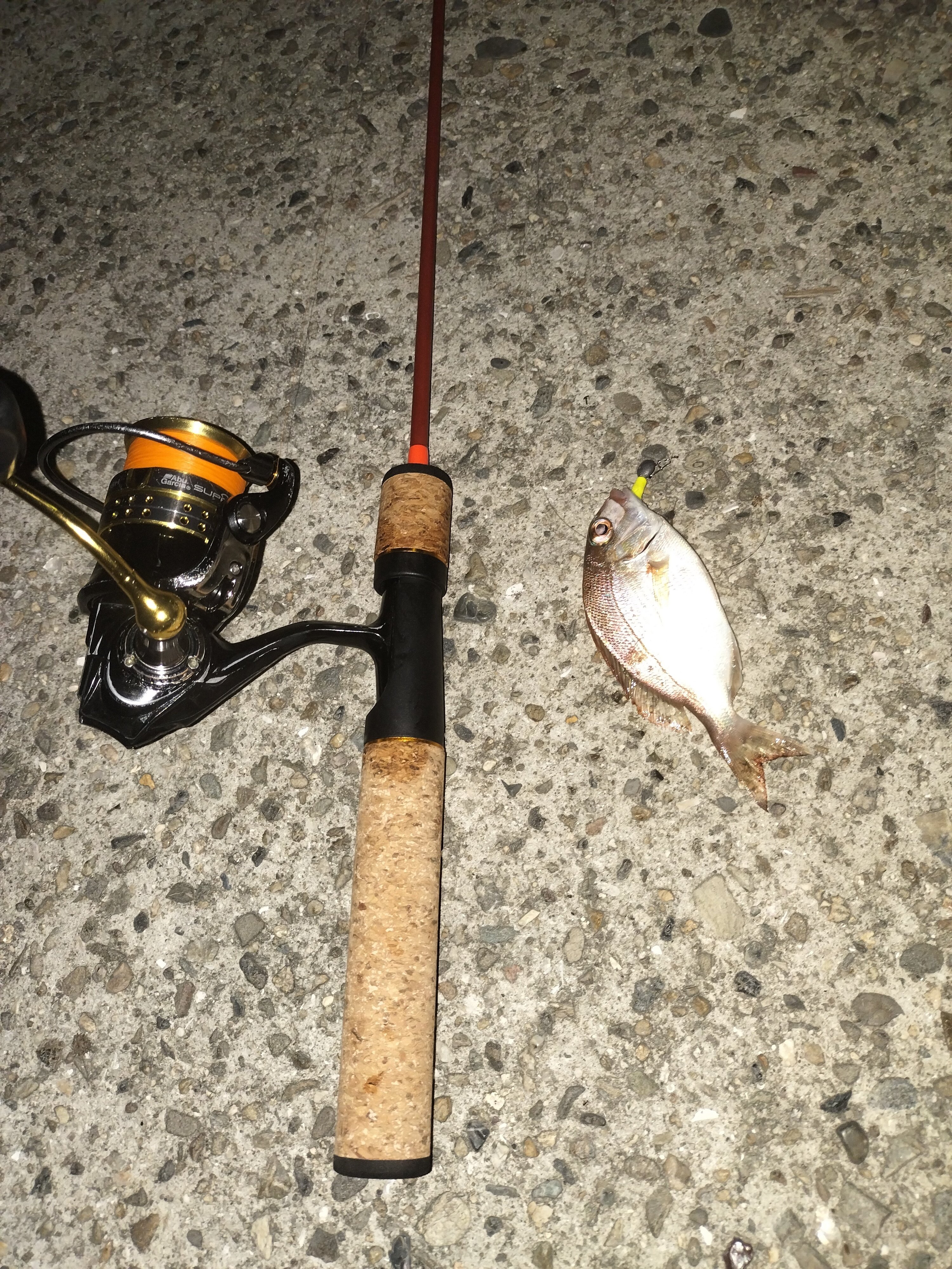 鯵レンジャー 鱒レンジャー｜A Lifelong Beginner Aji Angler