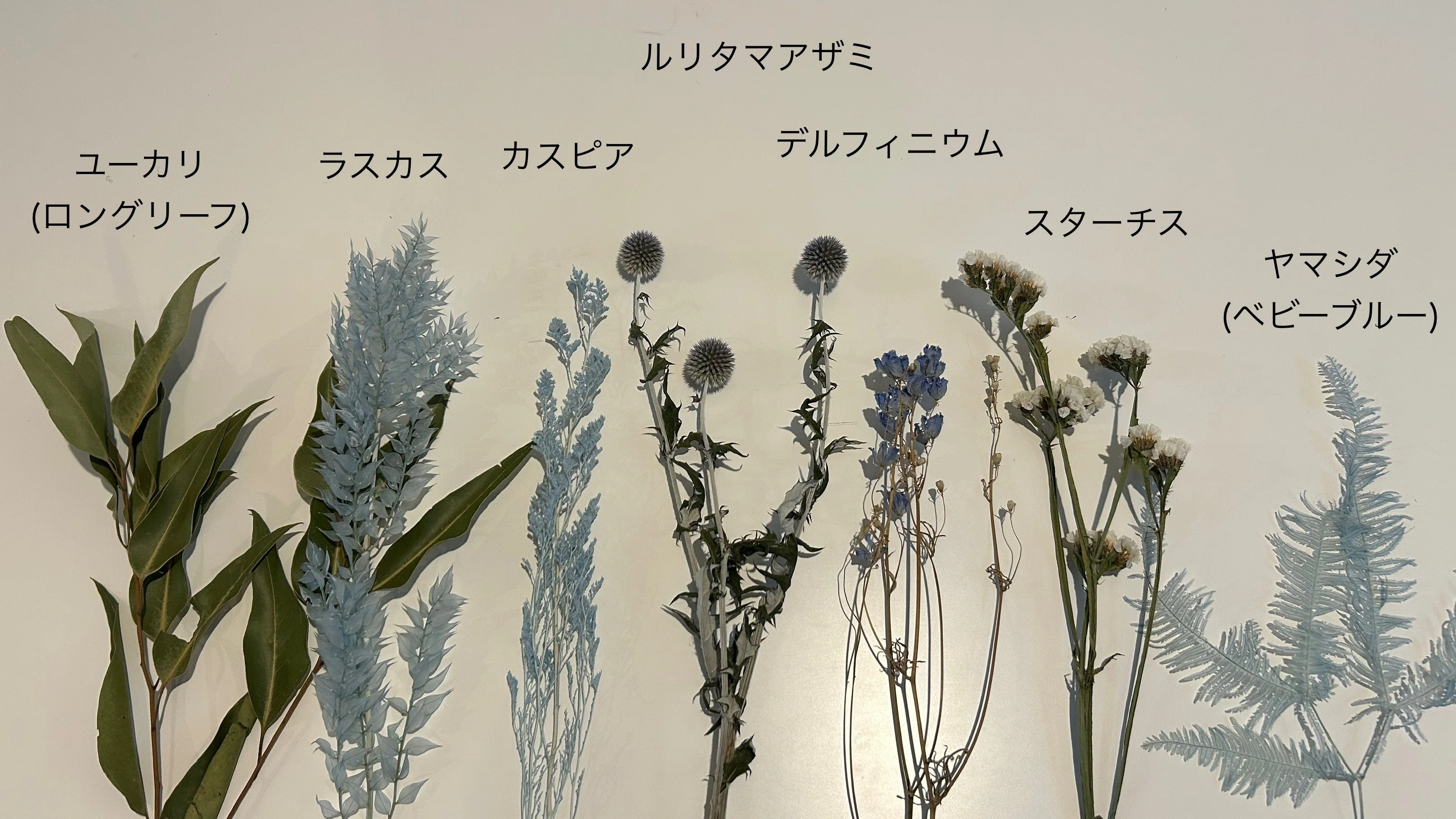 ドライスワッグレッスン｜ハナジタク花学校