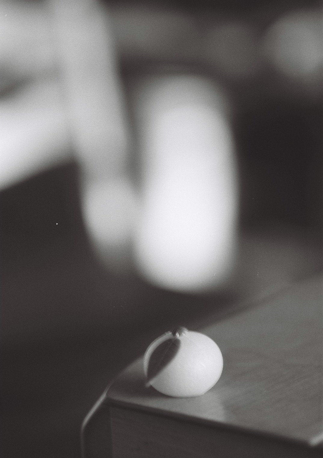 ◑ TAMRON SP 90mm F2.5 ｜いつかどこかで