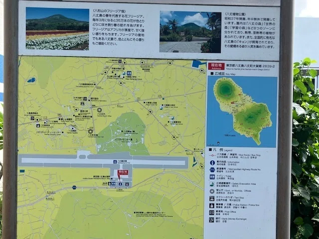 八丈島へ行ってみた｜月桃