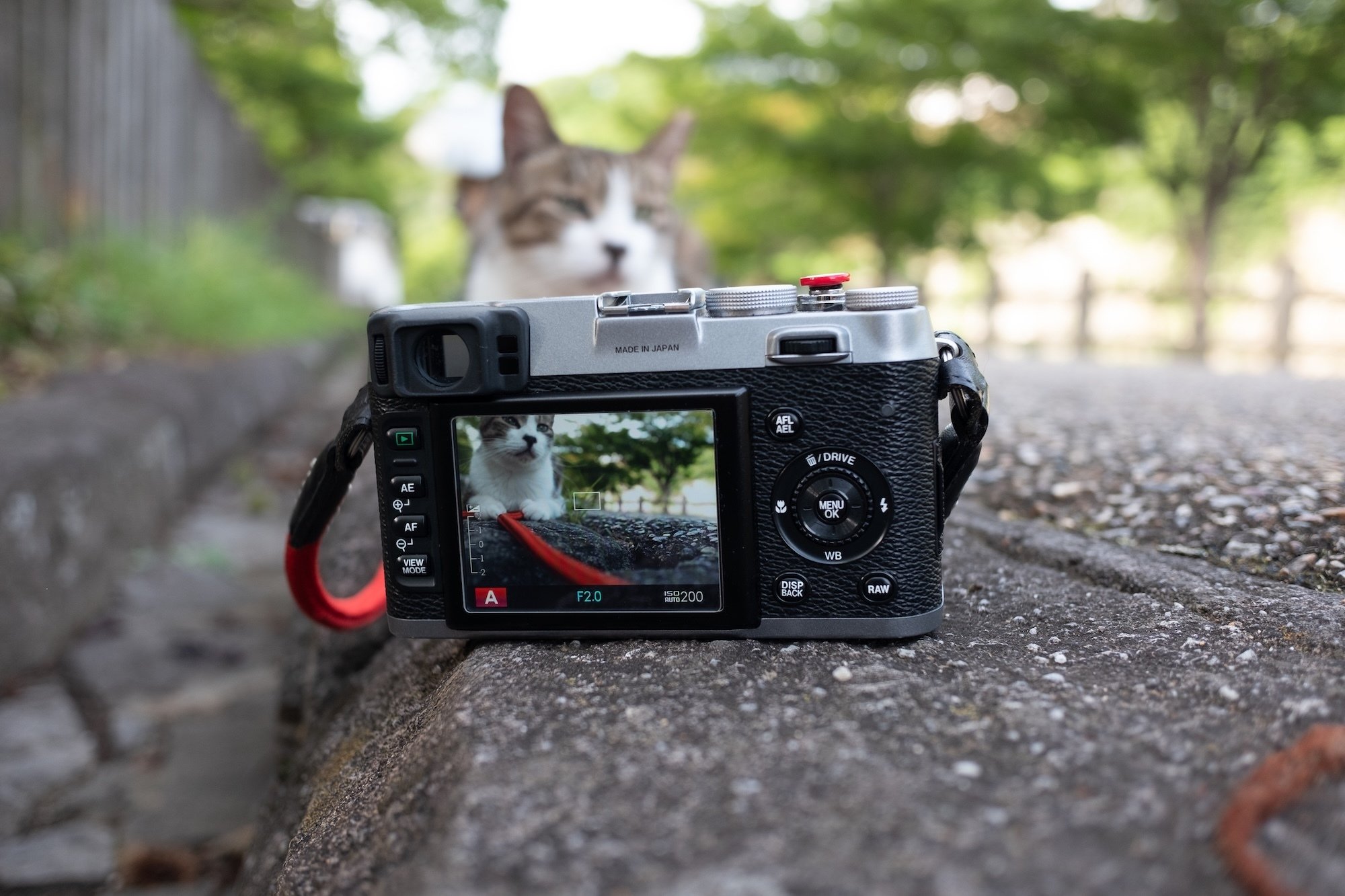 富士フイルム X100 初代 10年を越えてもなお現役、僕とFUJIFILM X100初代機。｜記憶カメラ