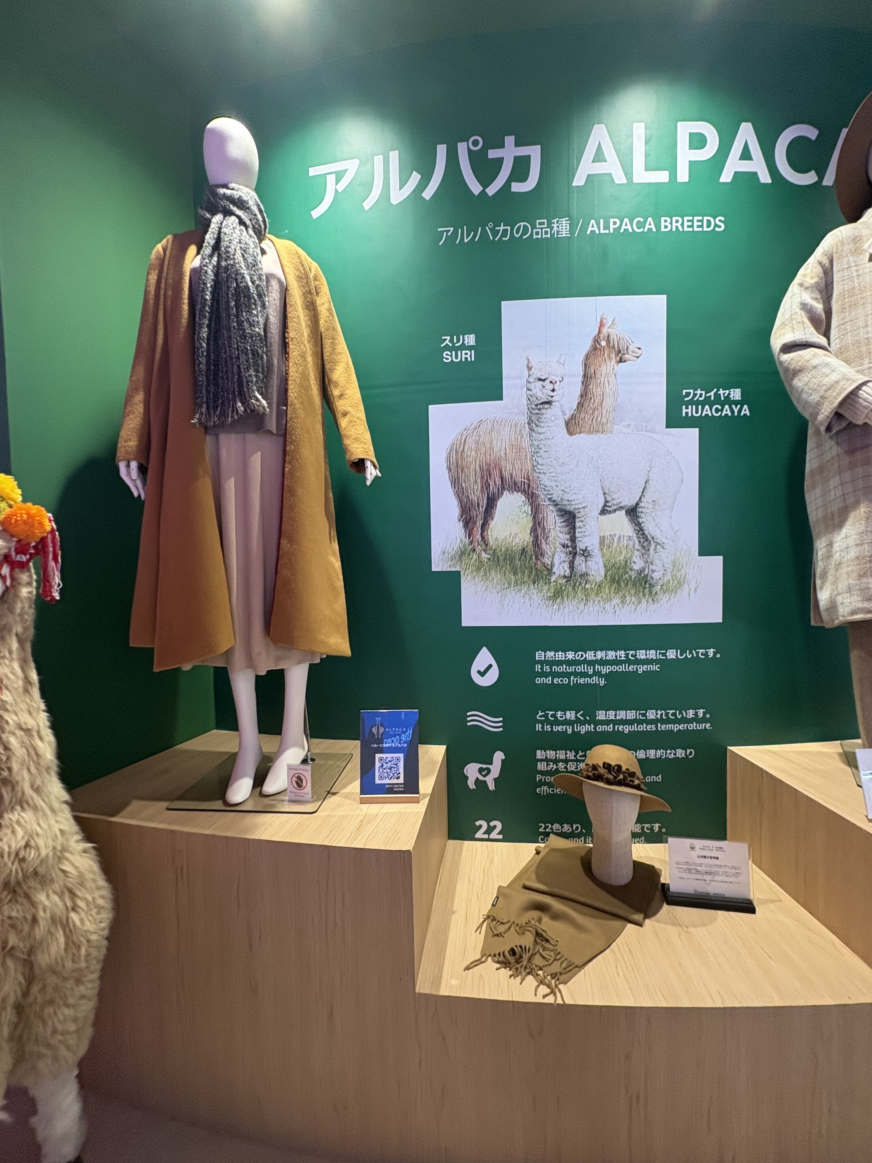 大阪万博！ペルー館のアルパカちゃん！ 🦙✨ ペルーパビリオンで出会えるアルパカの魅力 世界的に知られる