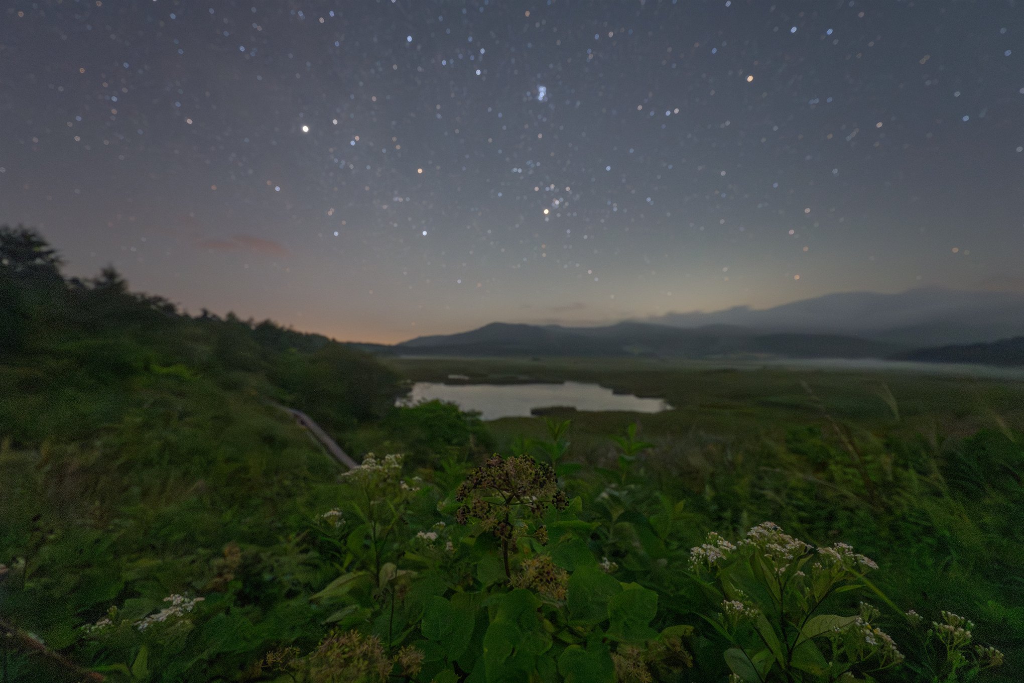 八島ヶ原湿原に咲く秋の草花と星空｜星空写真家・「好き」を「得意」に