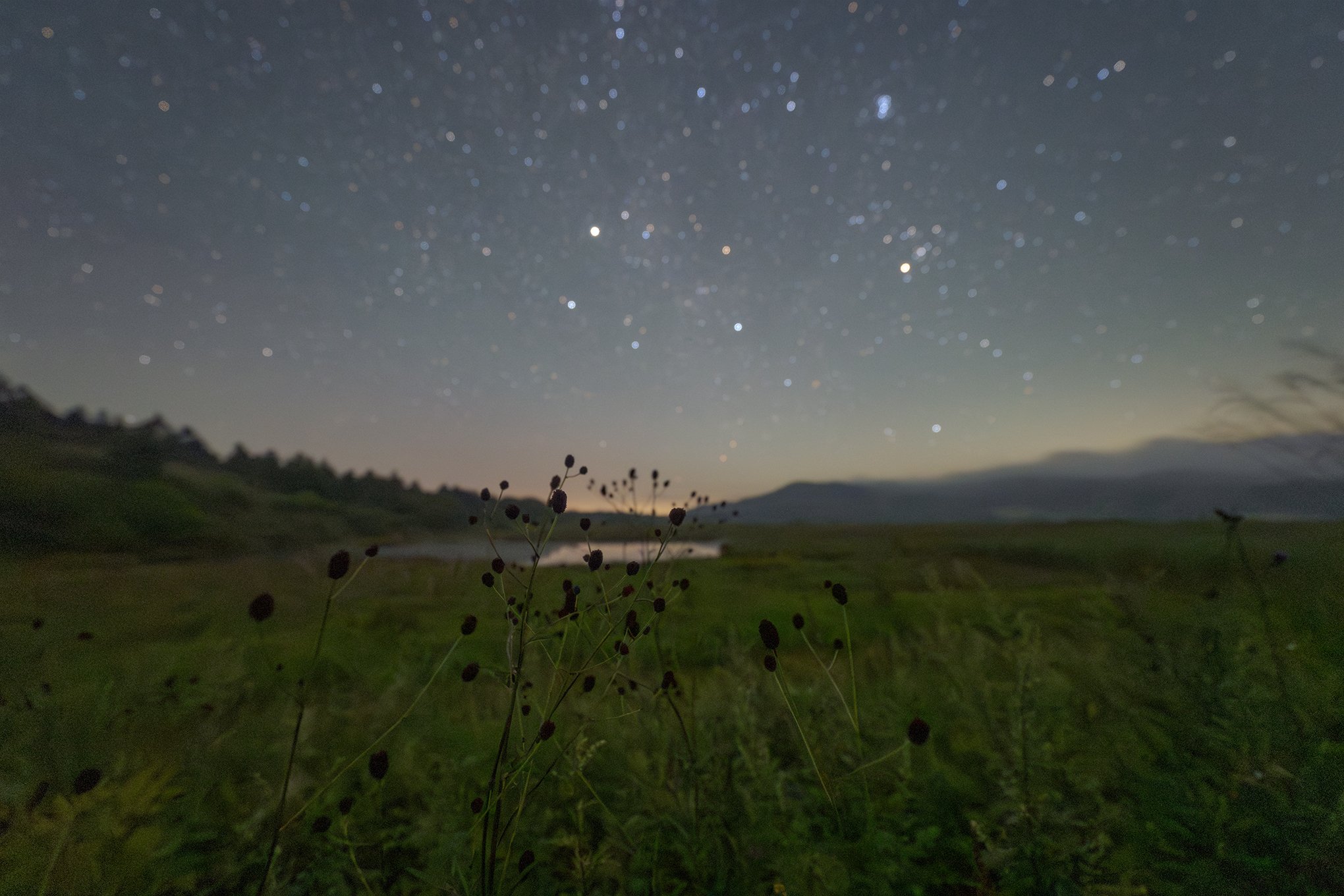 八島ヶ原湿原に咲く秋の草花と星空｜星空写真家・「好き」を「得意」に