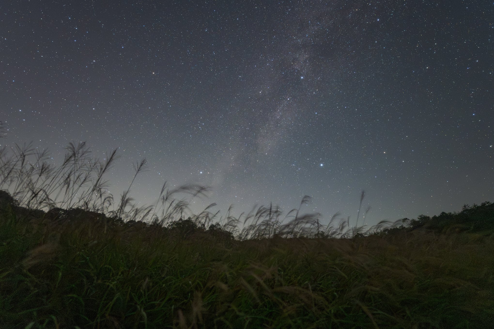 八島ヶ原湿原に咲く秋の草花と星空|星空写真家・「好き」を「得意」に 八島ヶ原湿原に咲く秋の草花と星空|星空写真家・「好き」を「得意」に