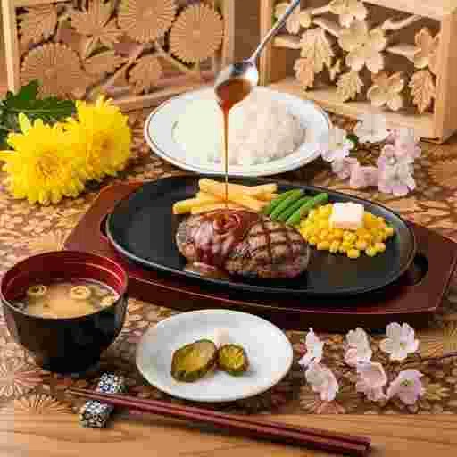 ハンバーグ レシピ 写真素材/写真販売 AI画像 有料＜30枚：350円＞商用利用可（サンプル）029