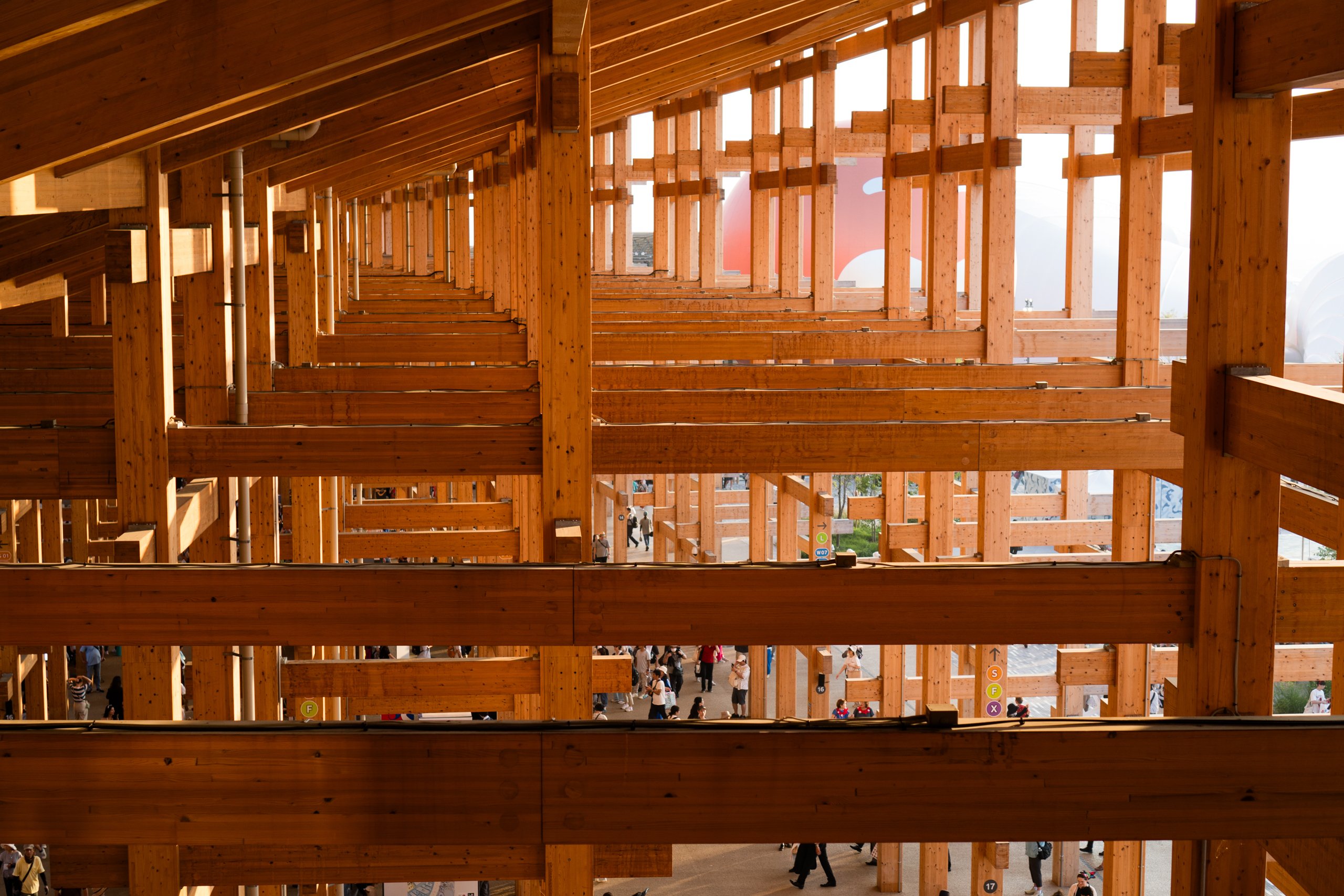 突発で決めた大阪万博日帰り旅、シンガポールラクサと大屋根リングの