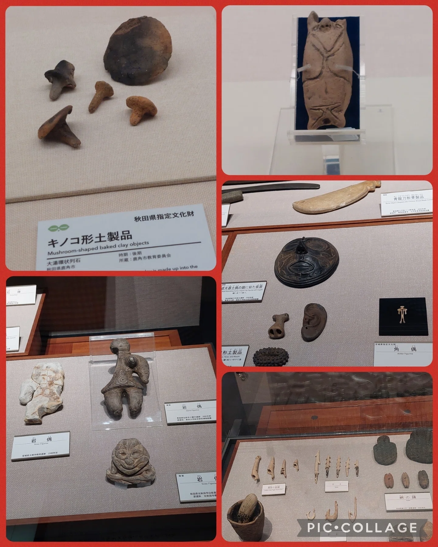 東北・北海道家族旅行④ 縄文編】東北歴史博物館(仙台)の『世界遺産