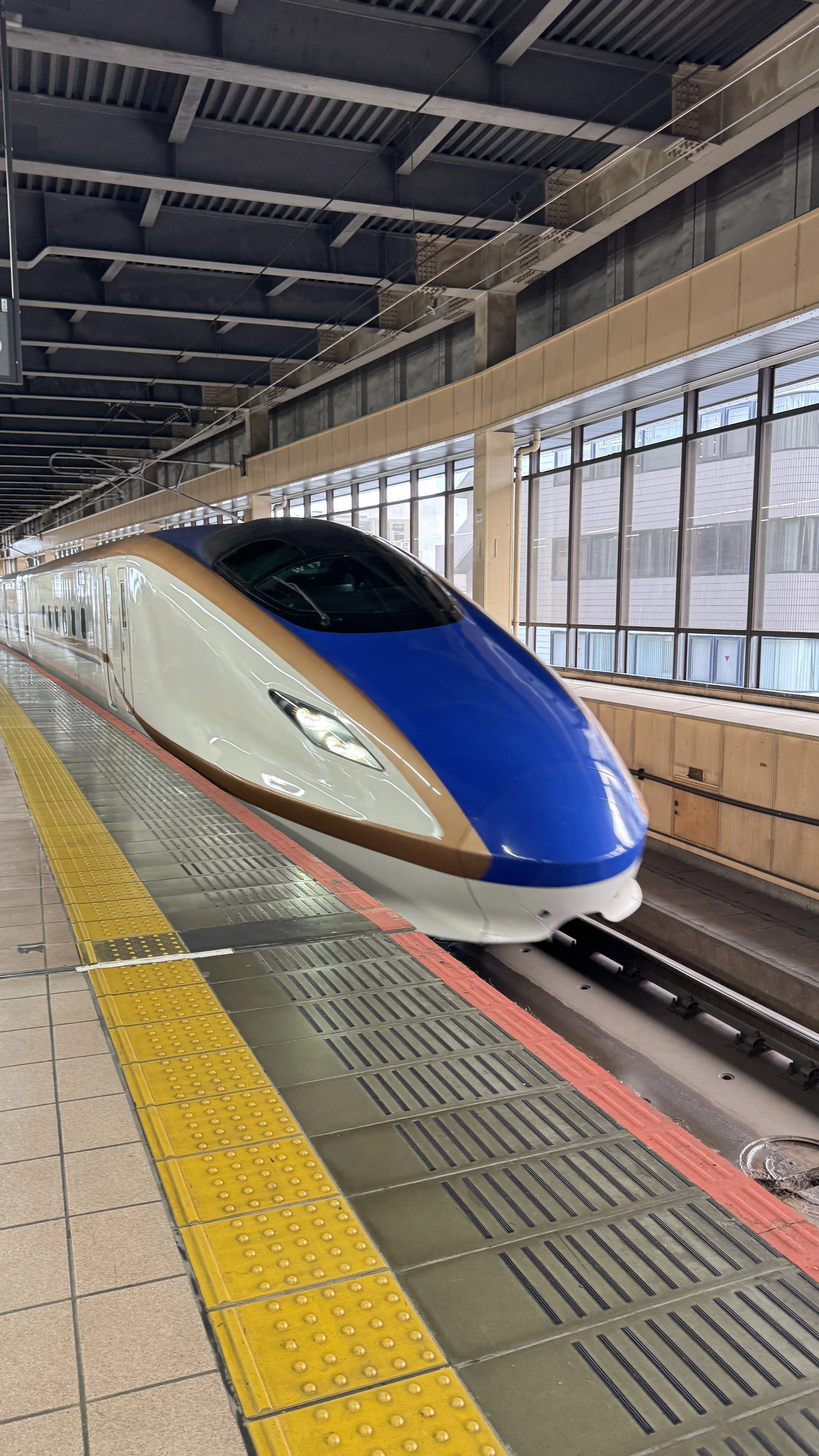 A lightning-fast trip to the regular mini performance｜たかしにぃ
