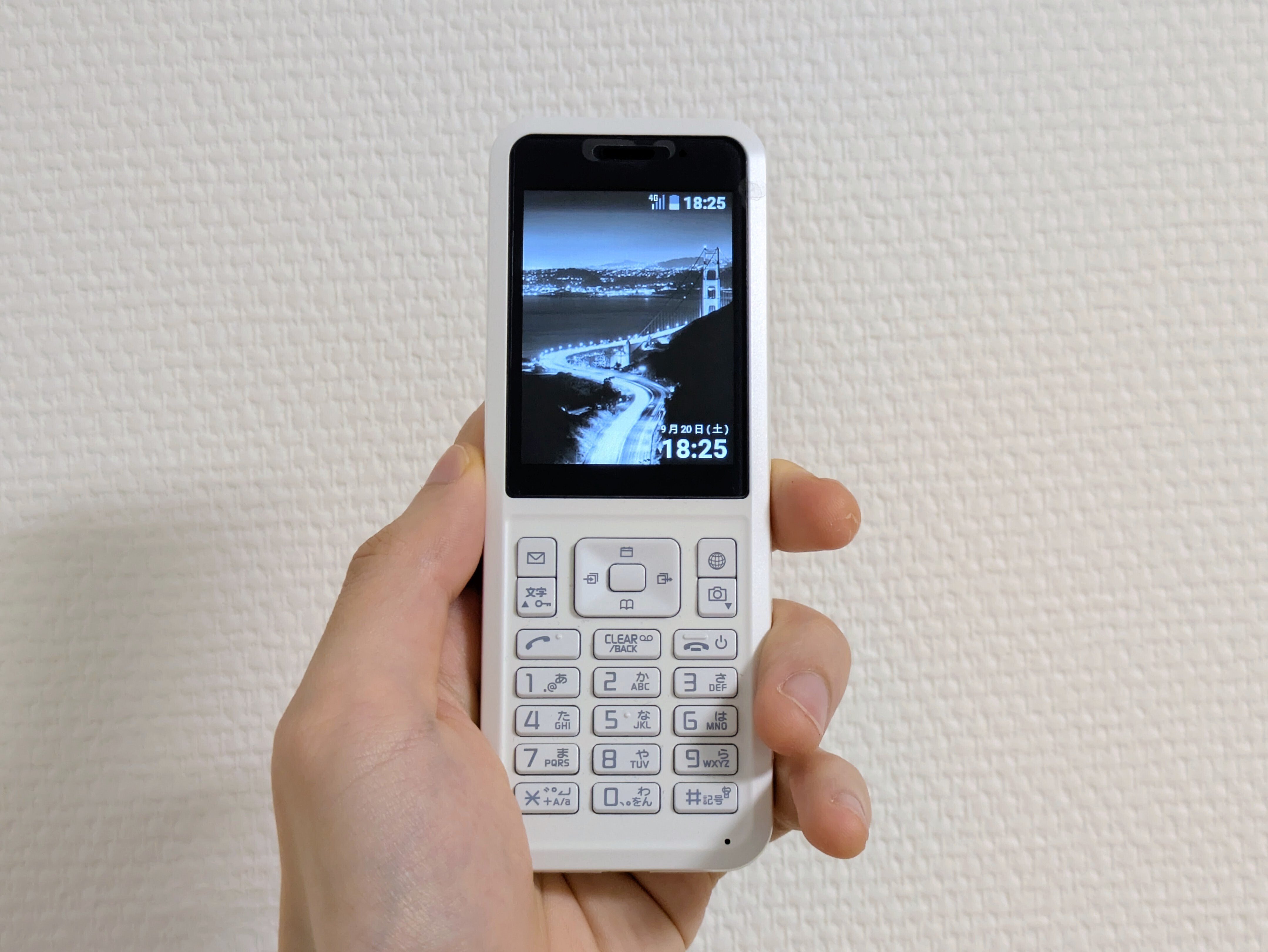 ダムフォン】令和にガラケー！？脱スマホ依存に最強の一台かも Simply